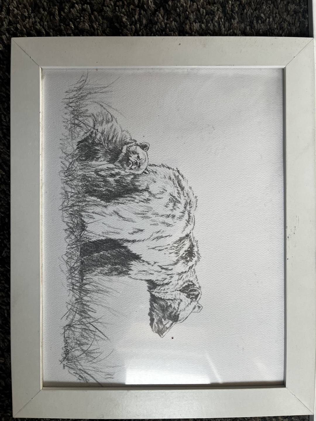 Framed Wildlife Pencil Drawings - photo 4