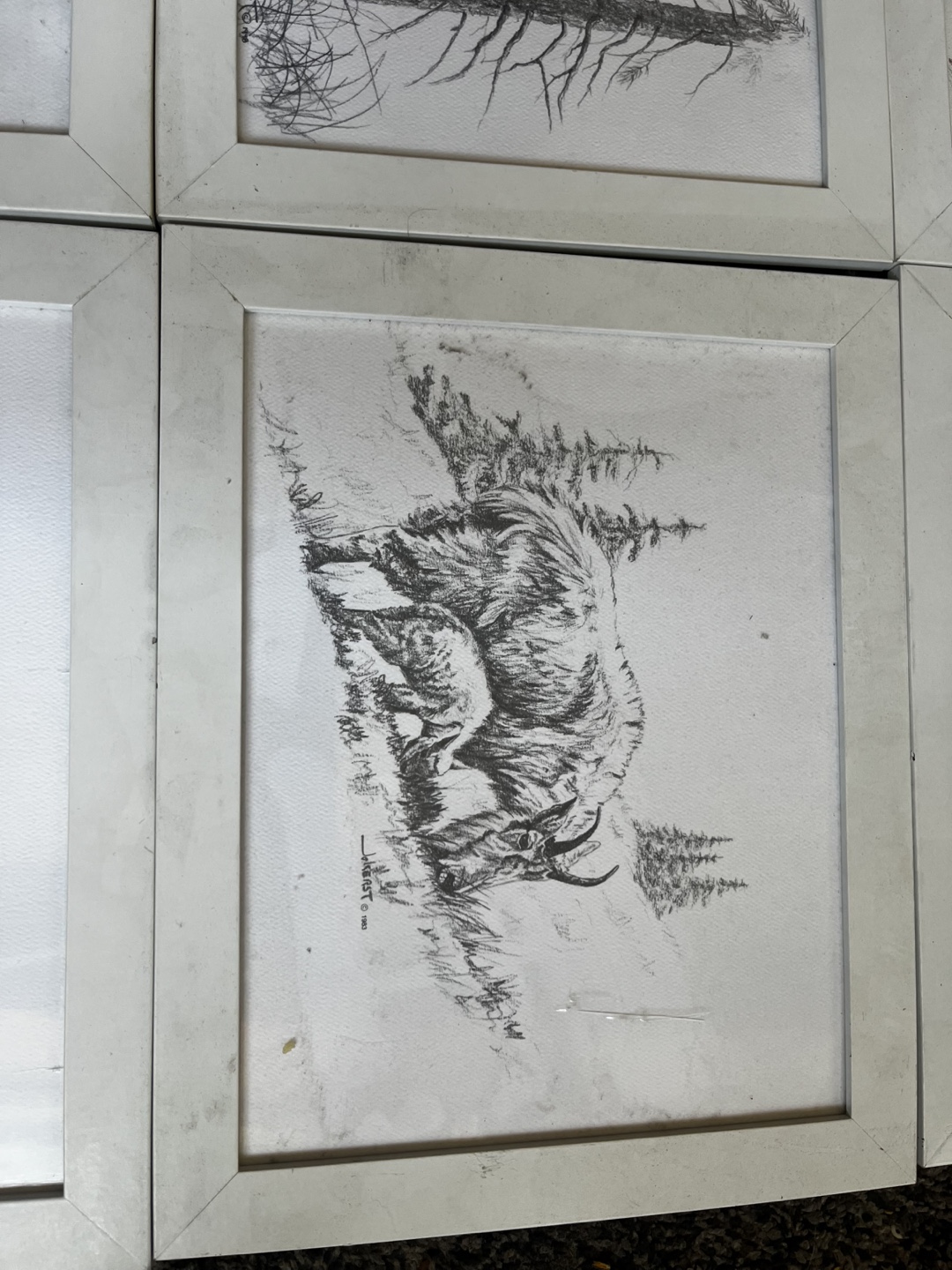 Framed Wildlife Pencil Drawings - photo 5