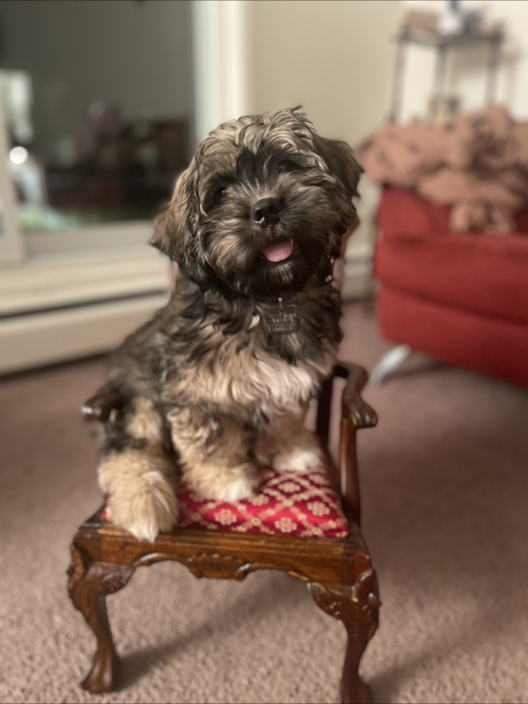 Antique Carved Wooden Chair - photo 3