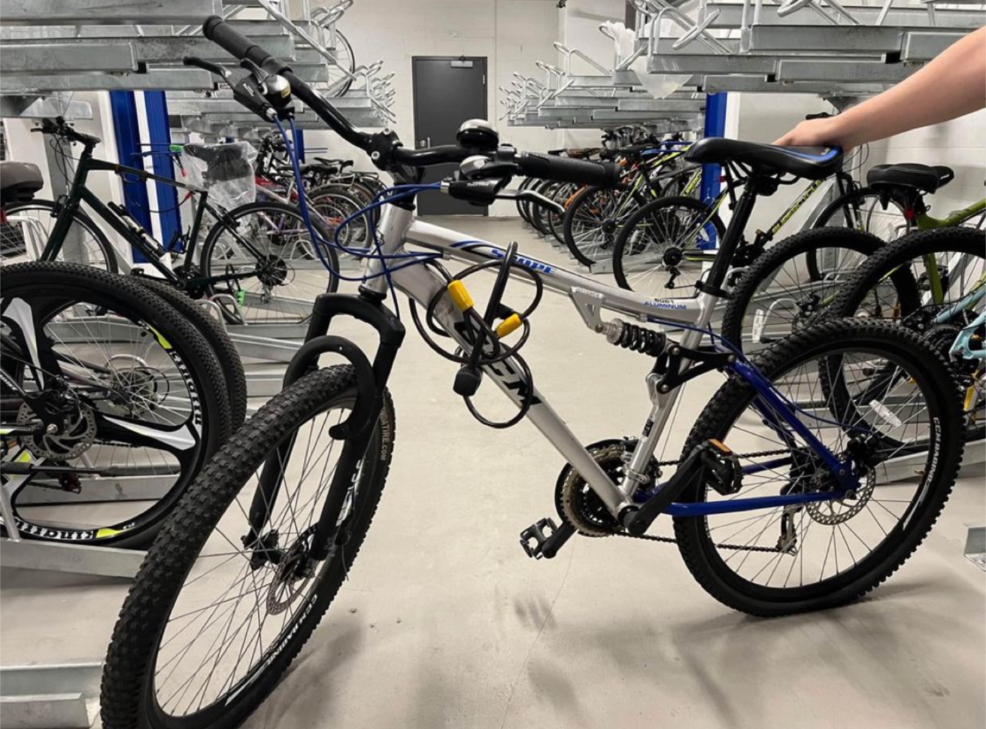 Mountain Bike For Sale