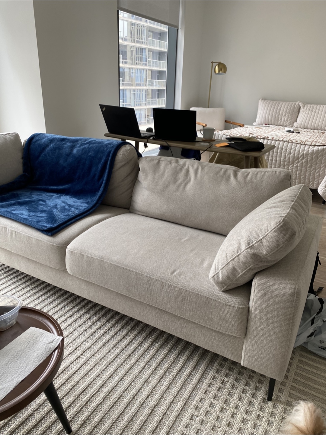 Light Gray Sofa