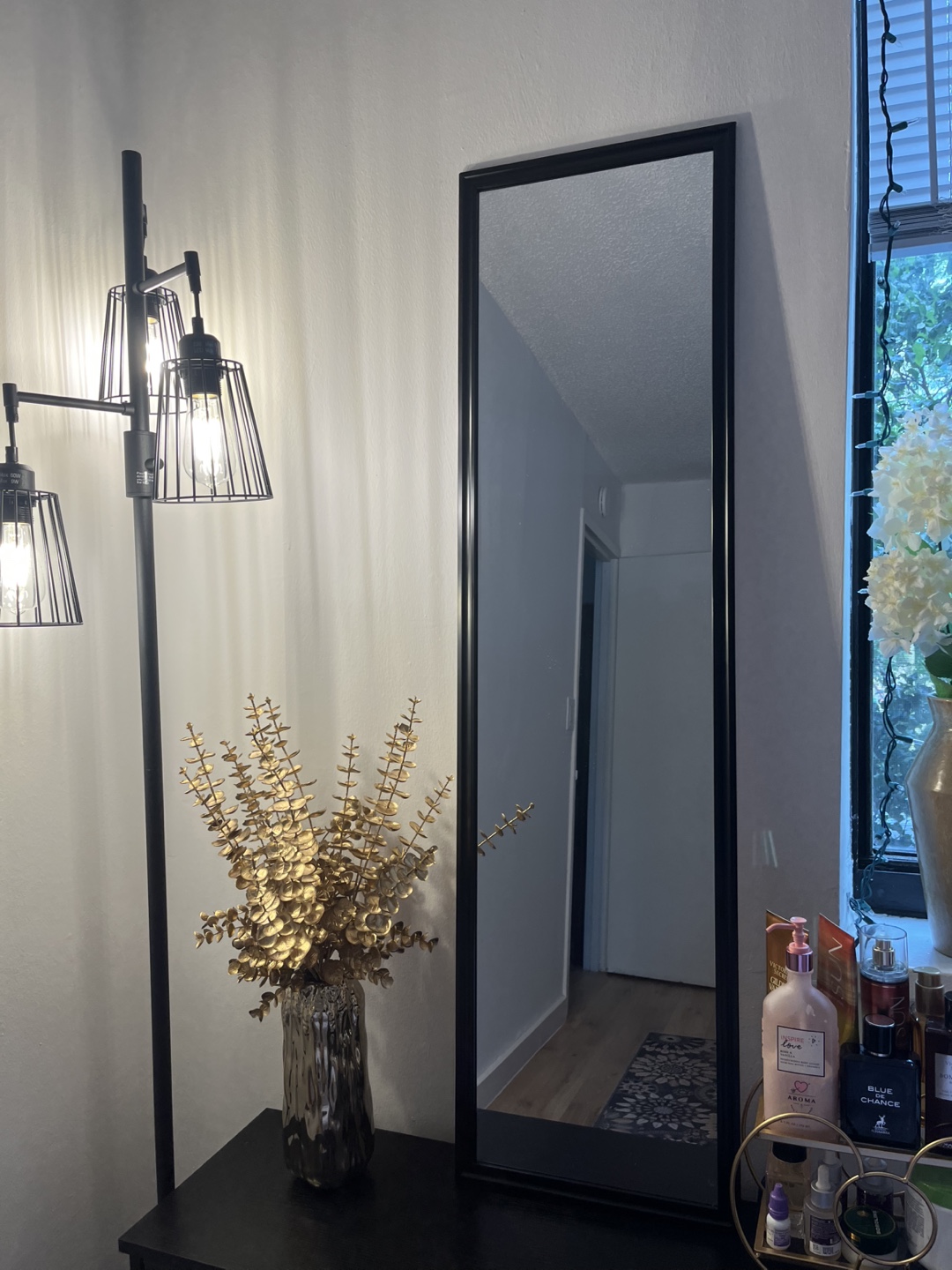 Tall Rectangular Black Frame Mirror