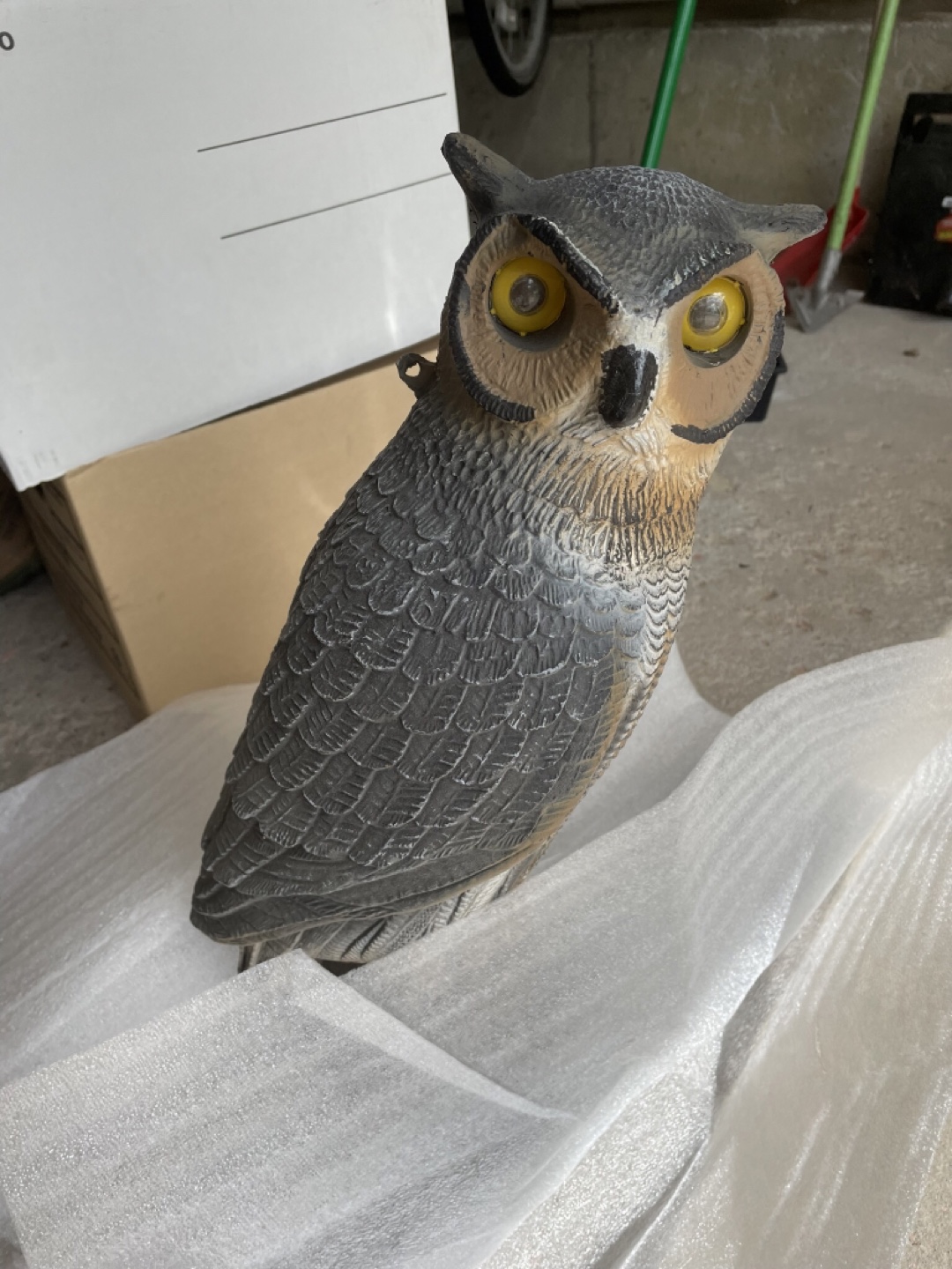 Plastic Owl Decoy - photo 2