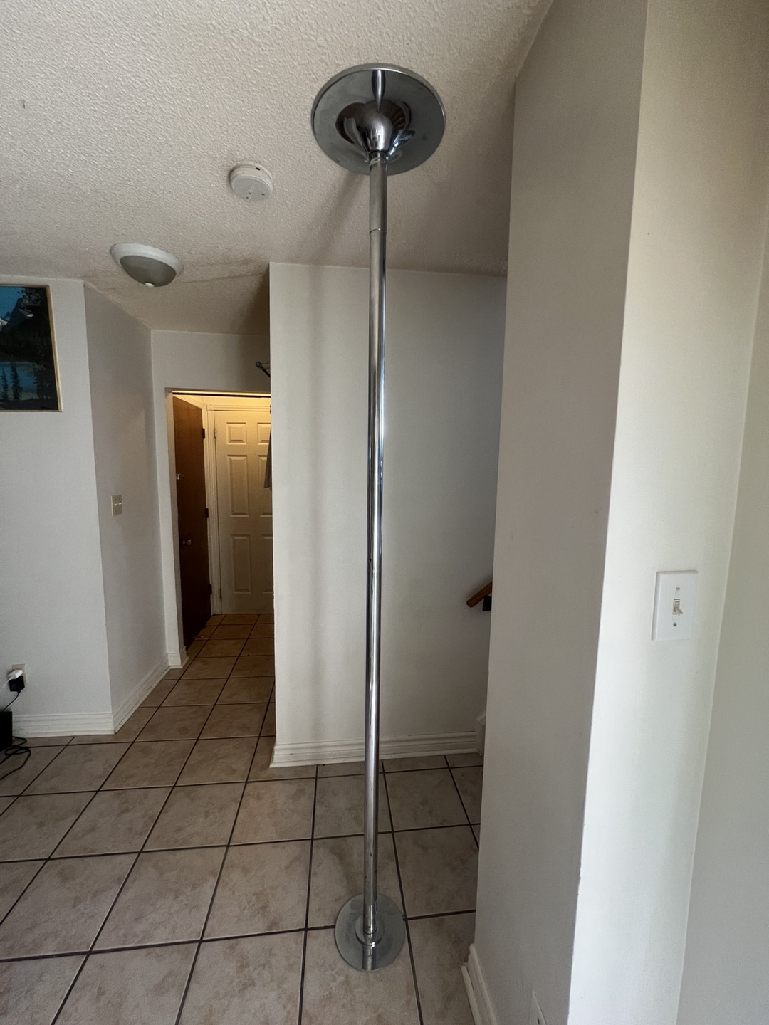Daily Style Dancing Pole - photo 2