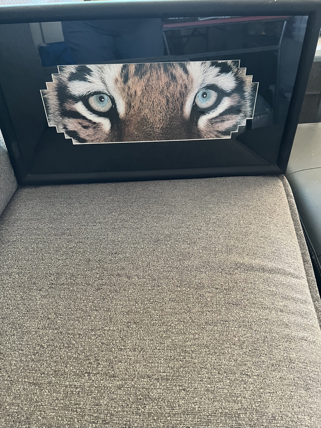 Framed Picture of Tiger Eyes - photo 3