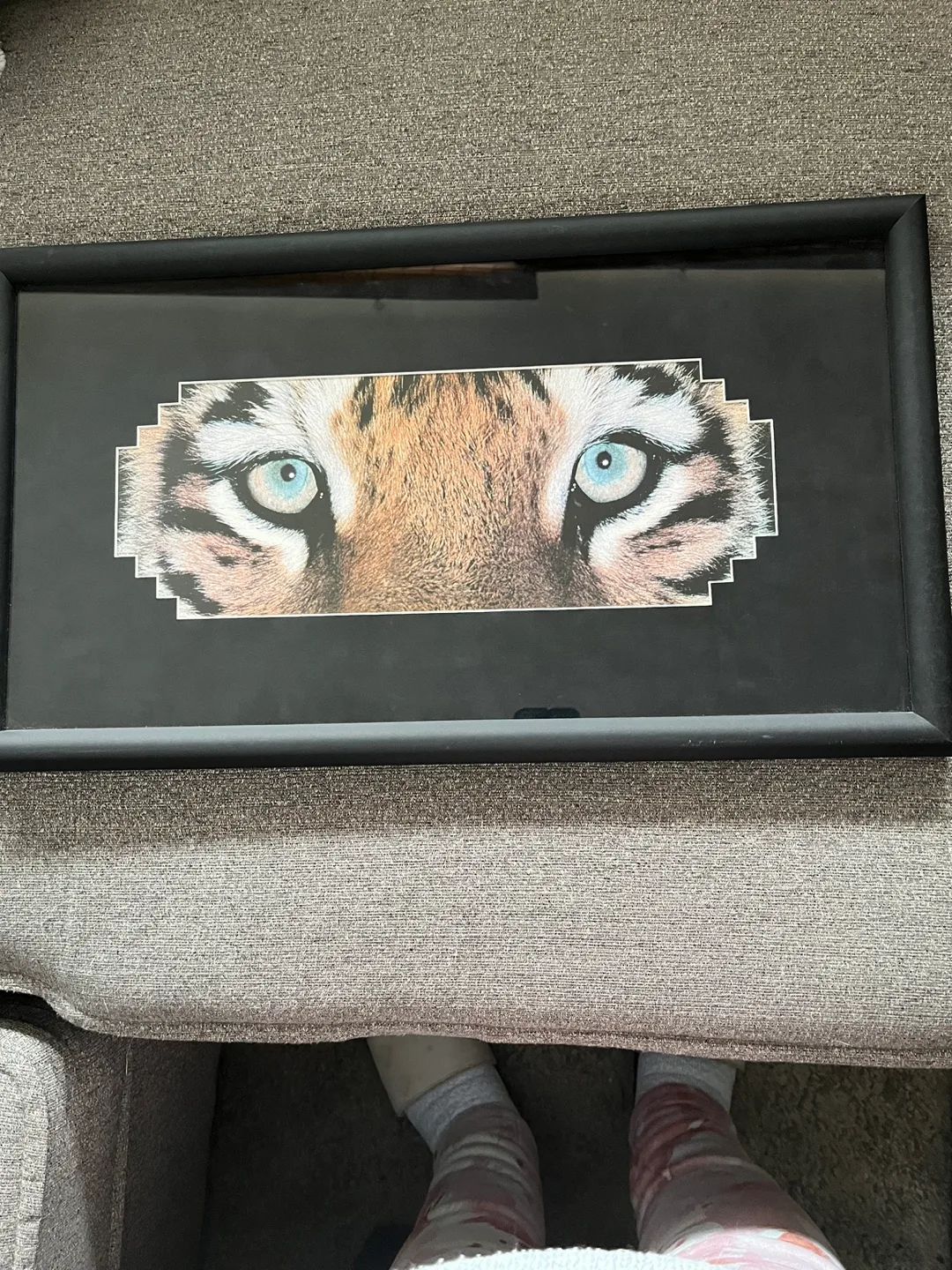 Framed Picture of Tiger Eyes