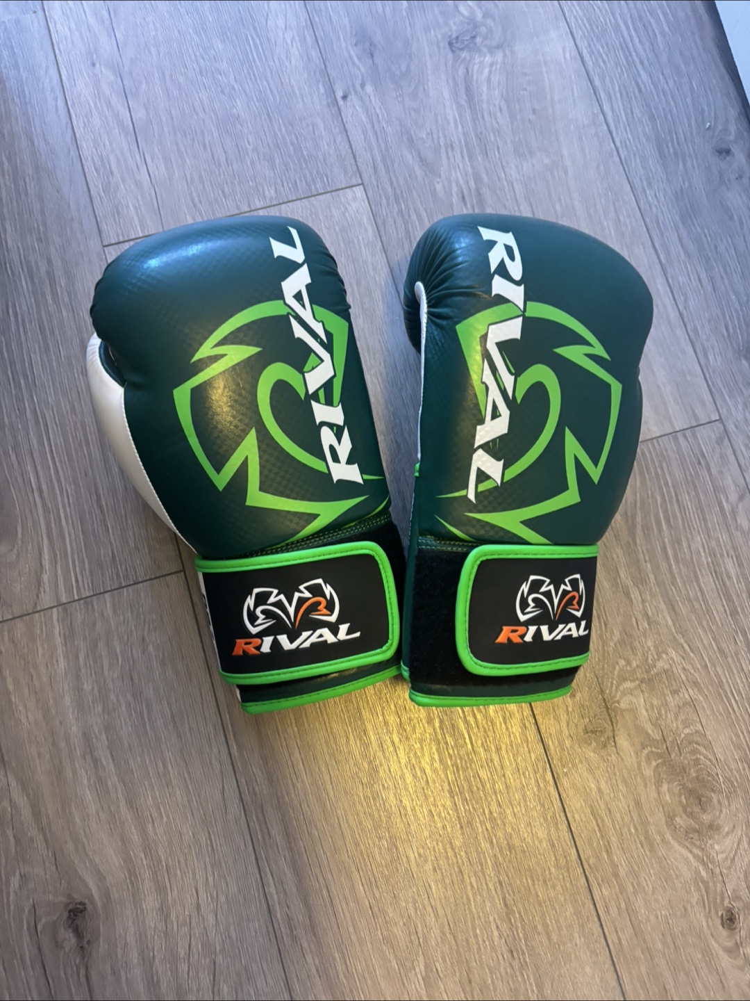 Rival Boxing Gloves