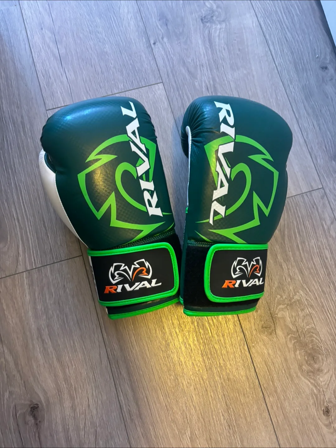 Rival Boxing Gloves