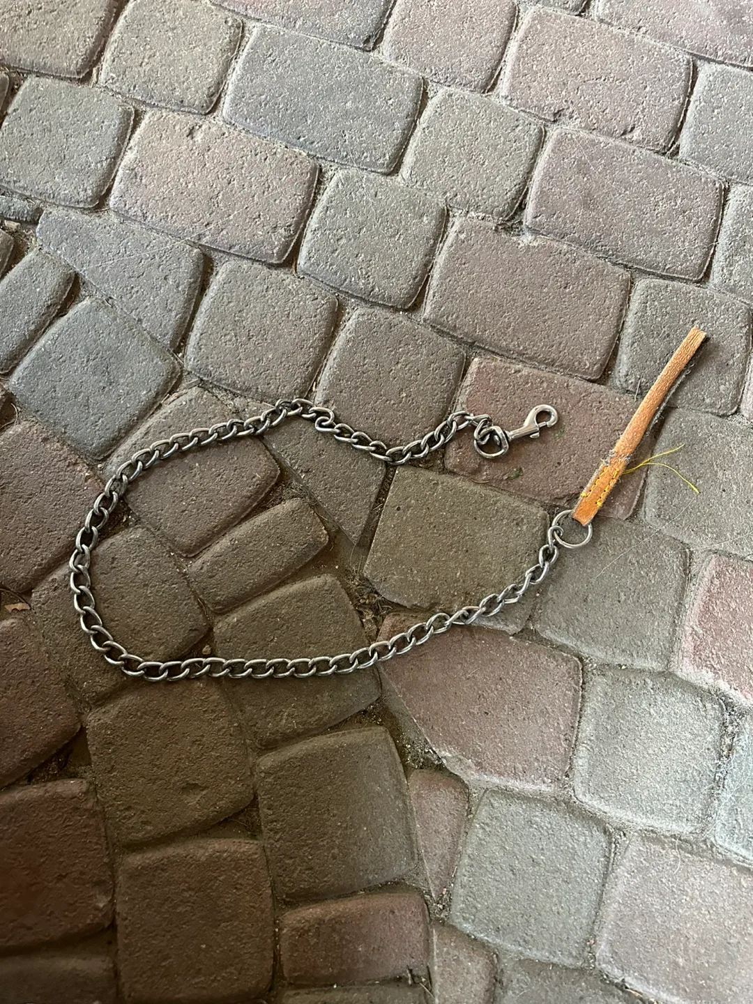 Metal Chain Pet Leash thumbnail