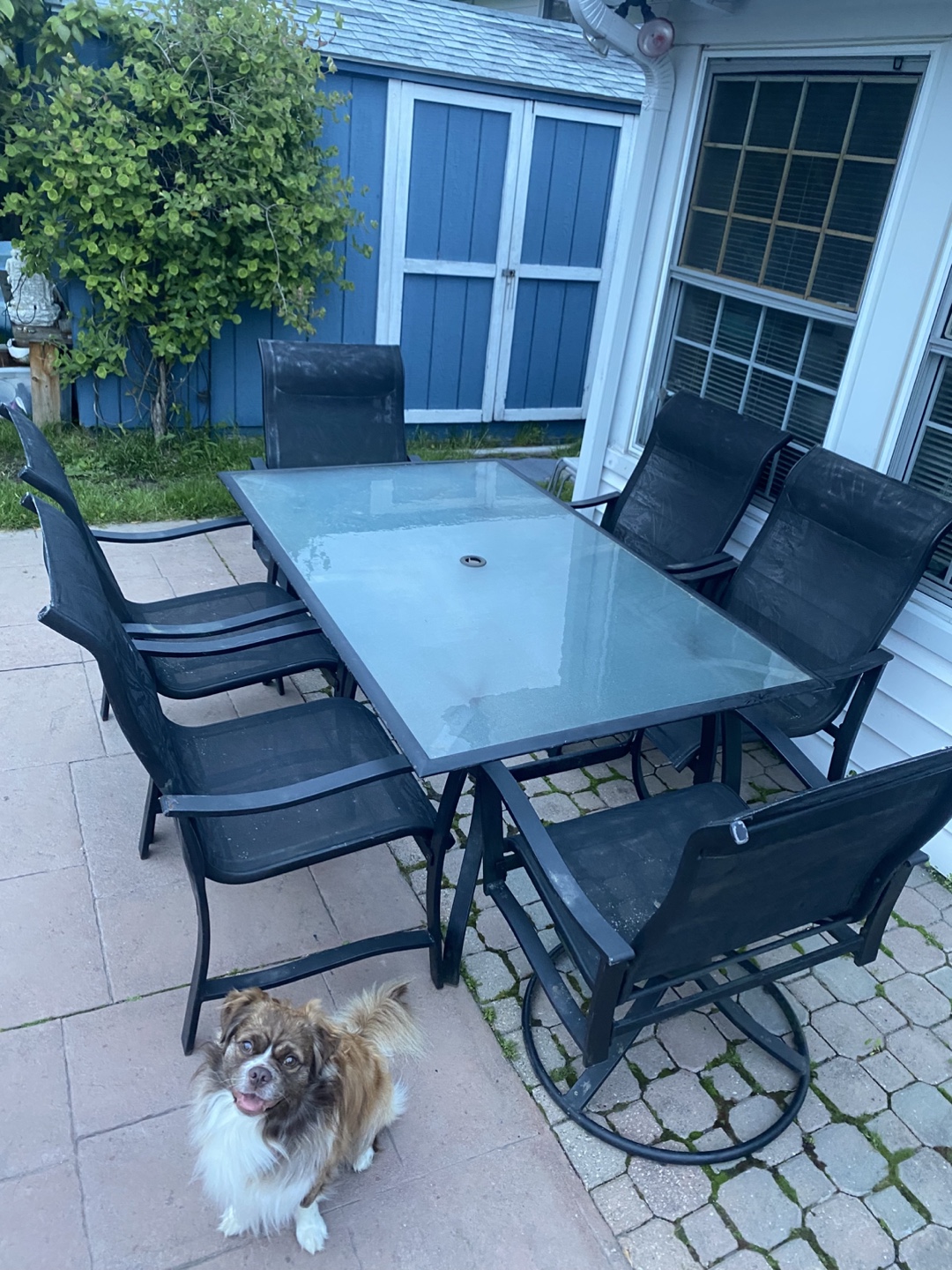 Patio Dining Set