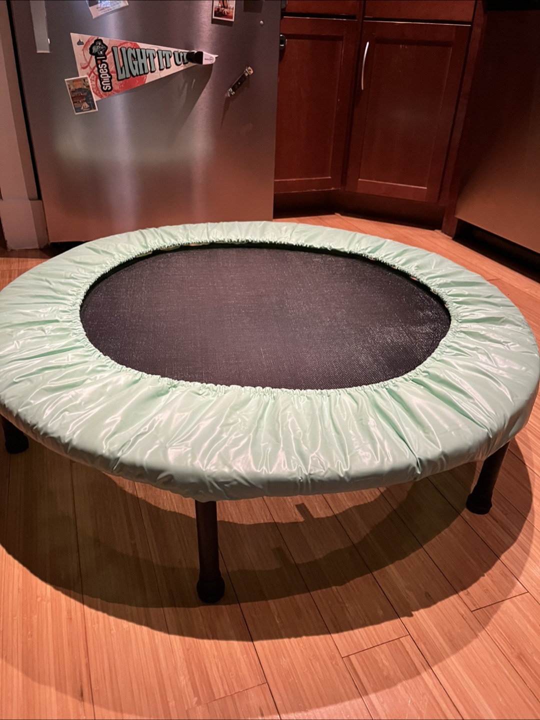 Mini Trampoline