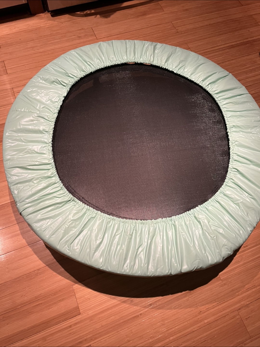Mini Trampoline - photo 2
