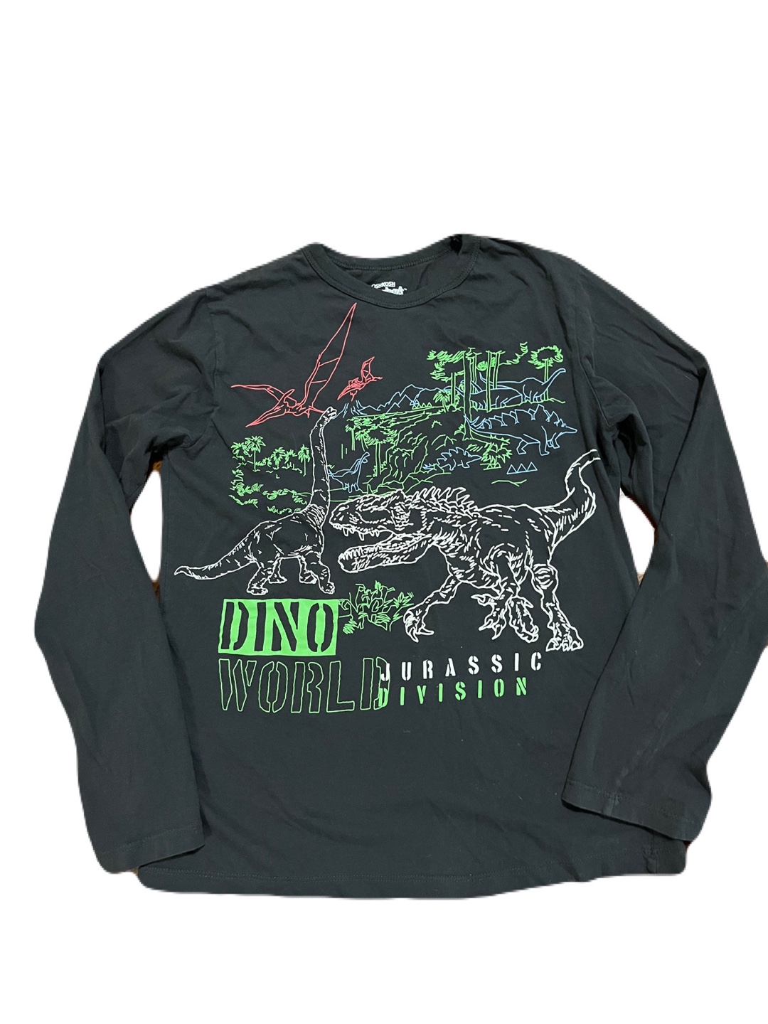OshKosh boys’ 14 long sleeve Dino World T-shirt, dark grey