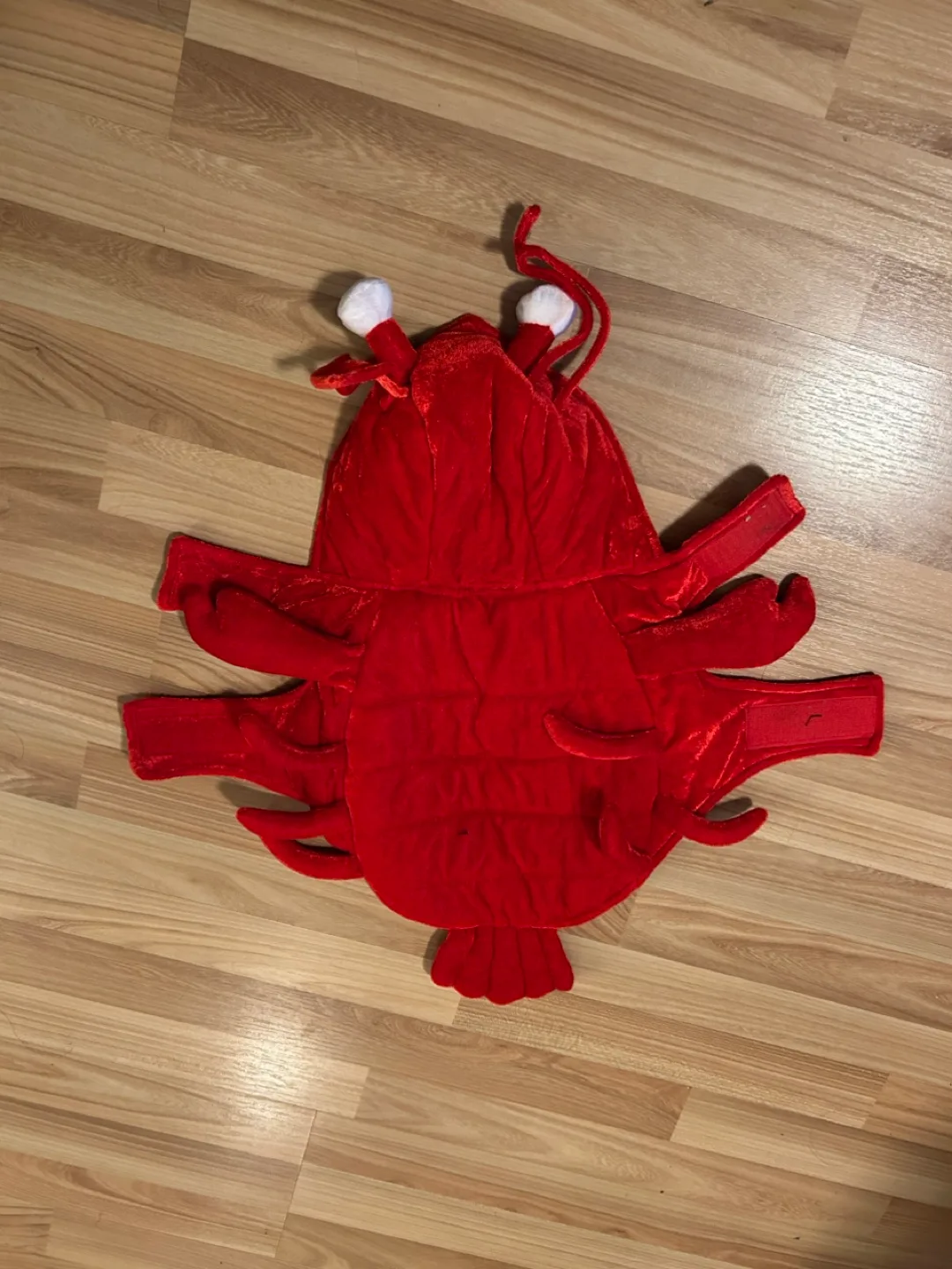 Lobster costume for cat thumbnail