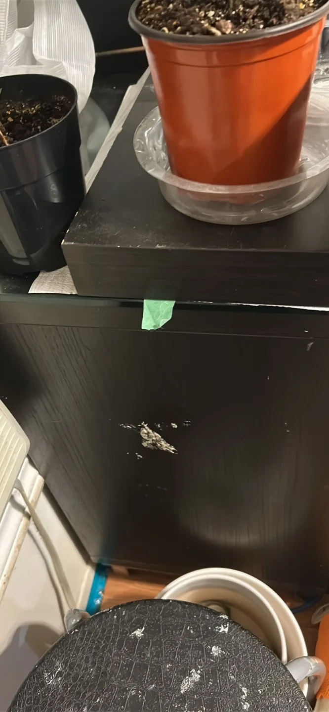 Dark Brown  black IKEA S image indicator(2)