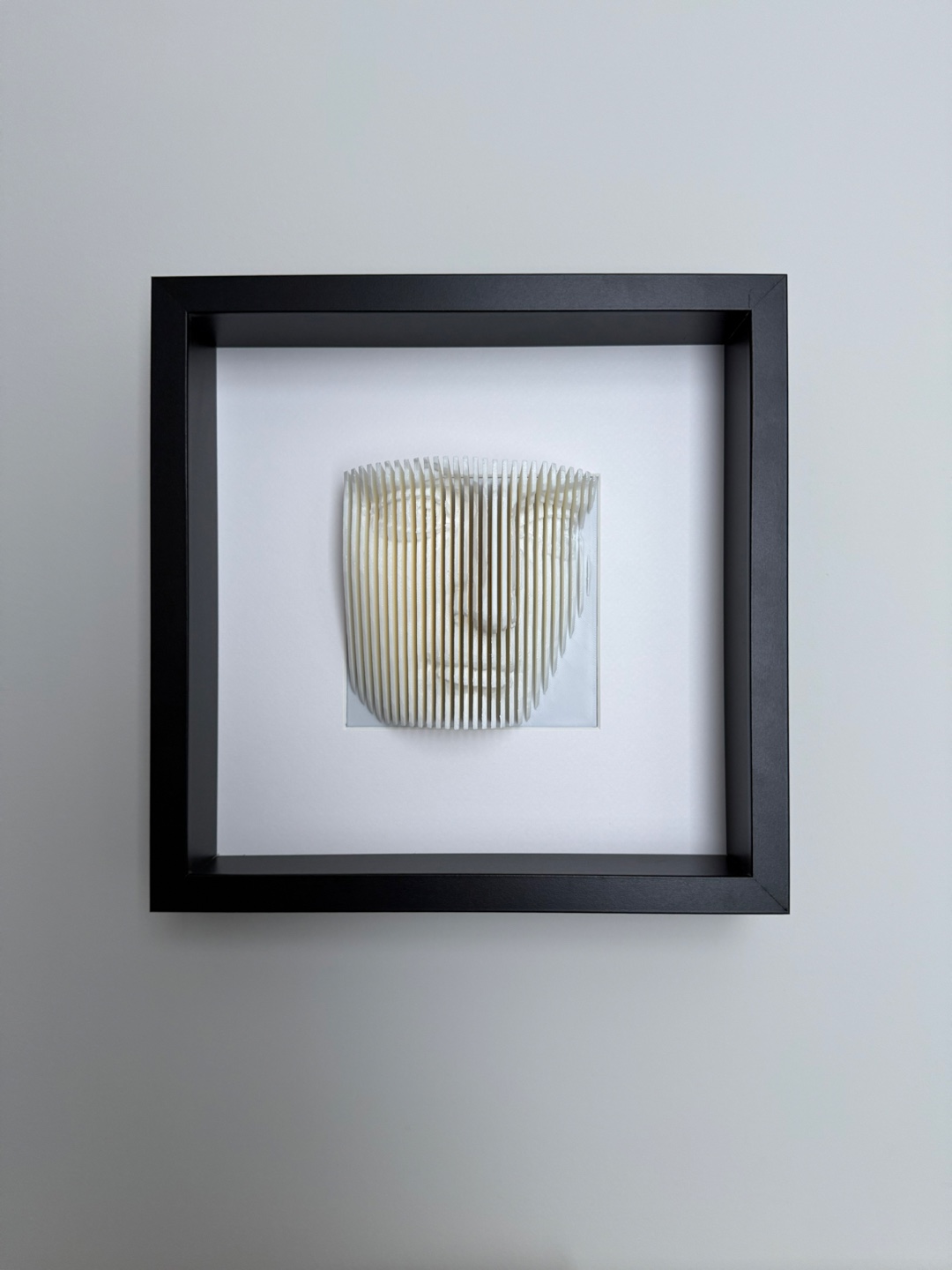 Framed 3D Face Art - photo 4