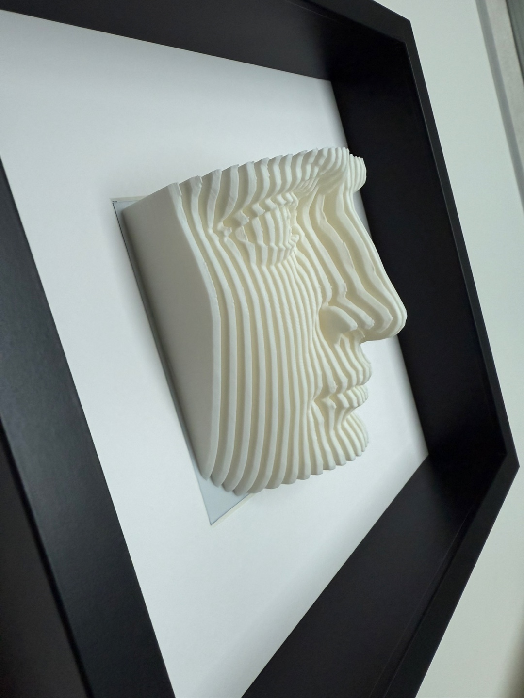 Framed 3D Face Art