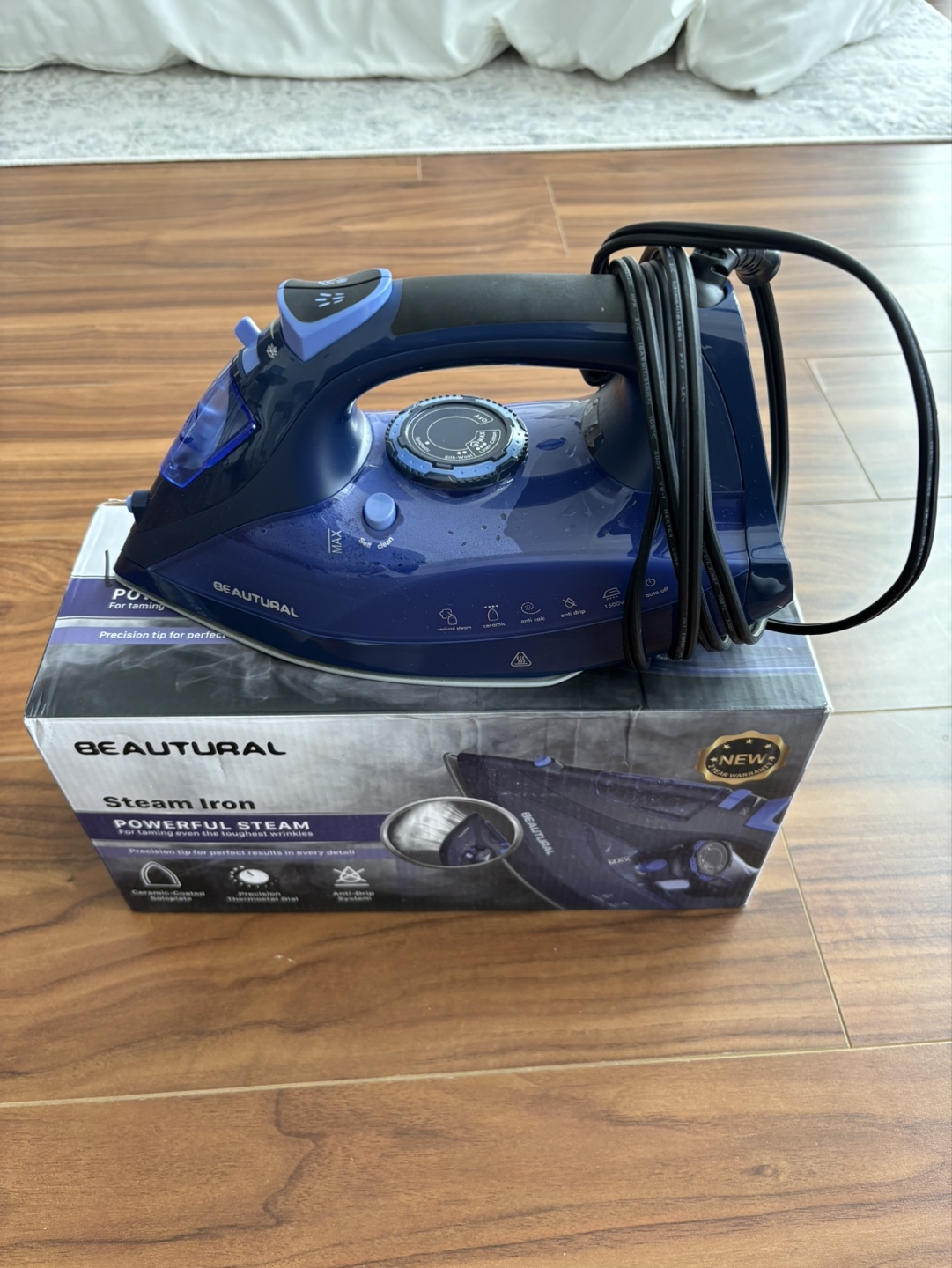 Steam Iron