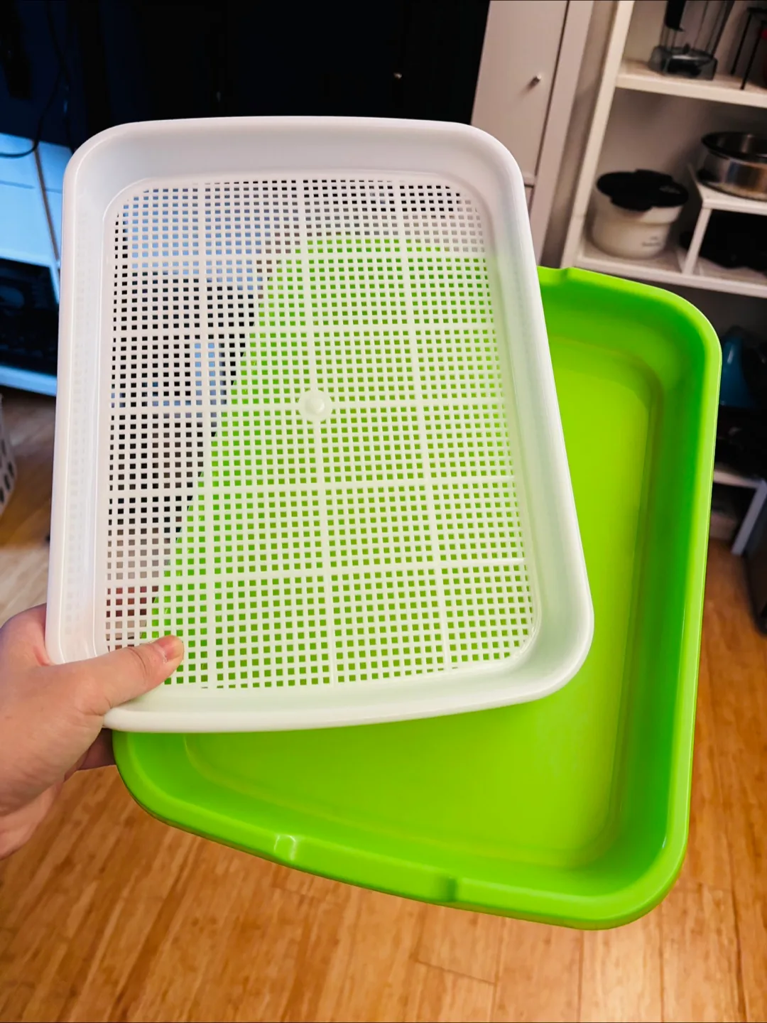 Seed Sprouter Tray | Germination Kit Healthy Wheatgrass Grower thumbnail
