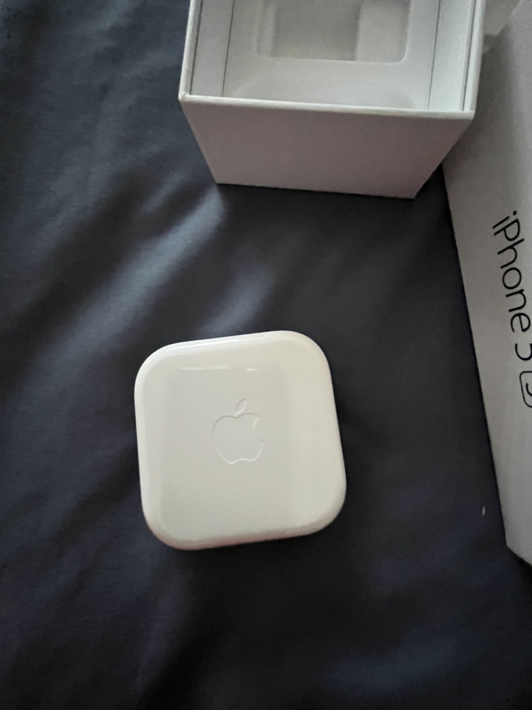 Apple iPhone 5s Earbuds and Case - photo 2