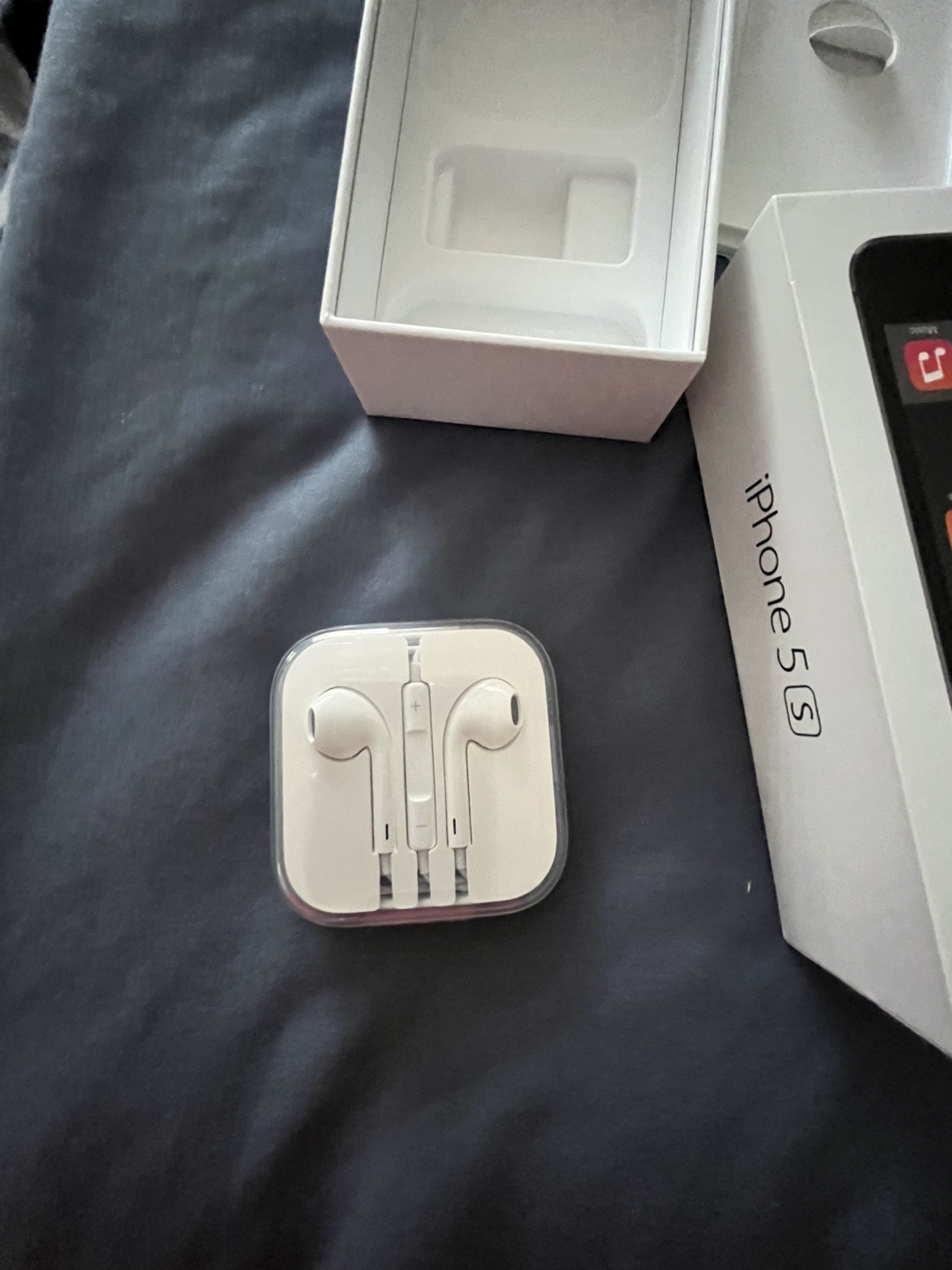Apple iPhone 5s Earbuds and Case