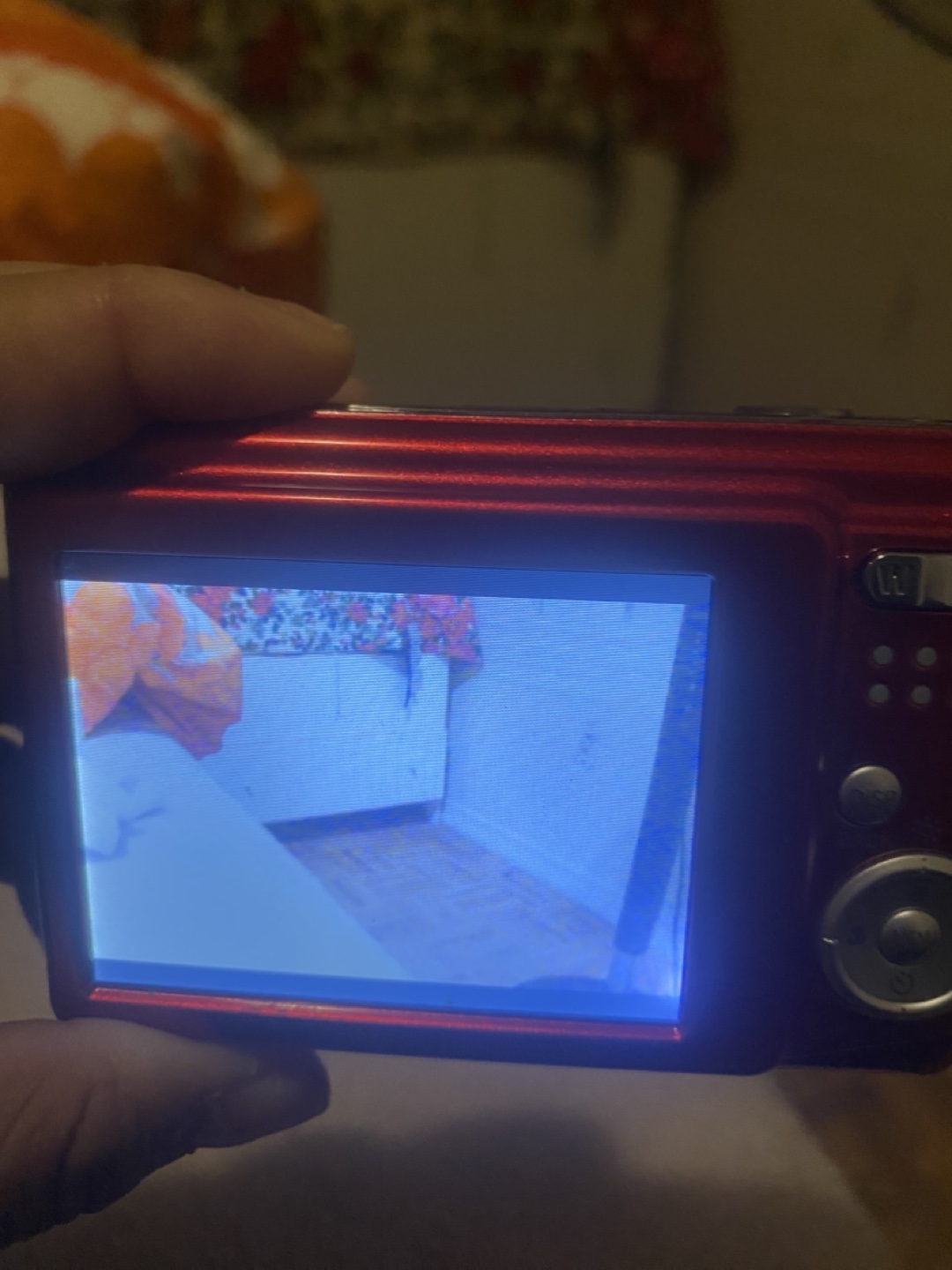Fujifilm Digital Camera - photo 4