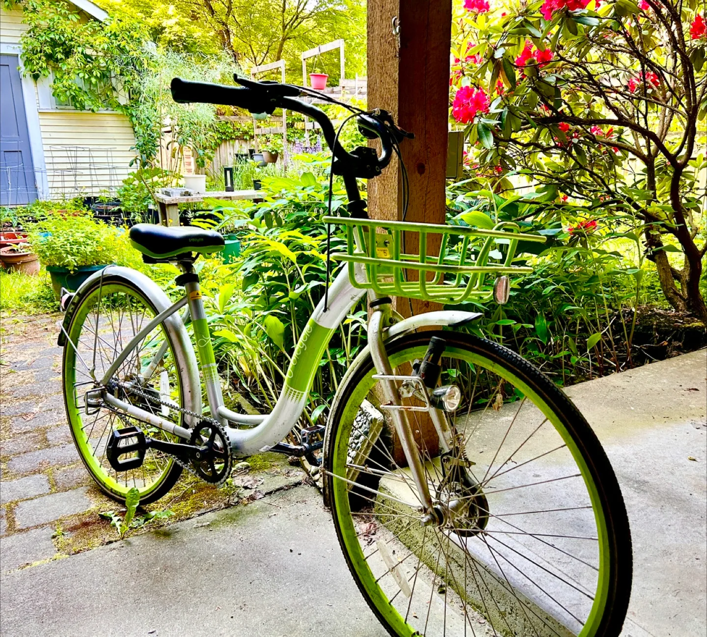 Solid city bike - new image indicator(2)