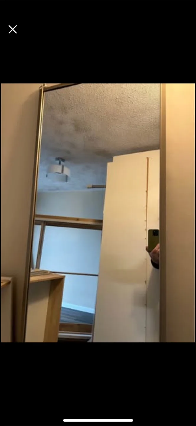 Full Length Framed Mirror thumbnail