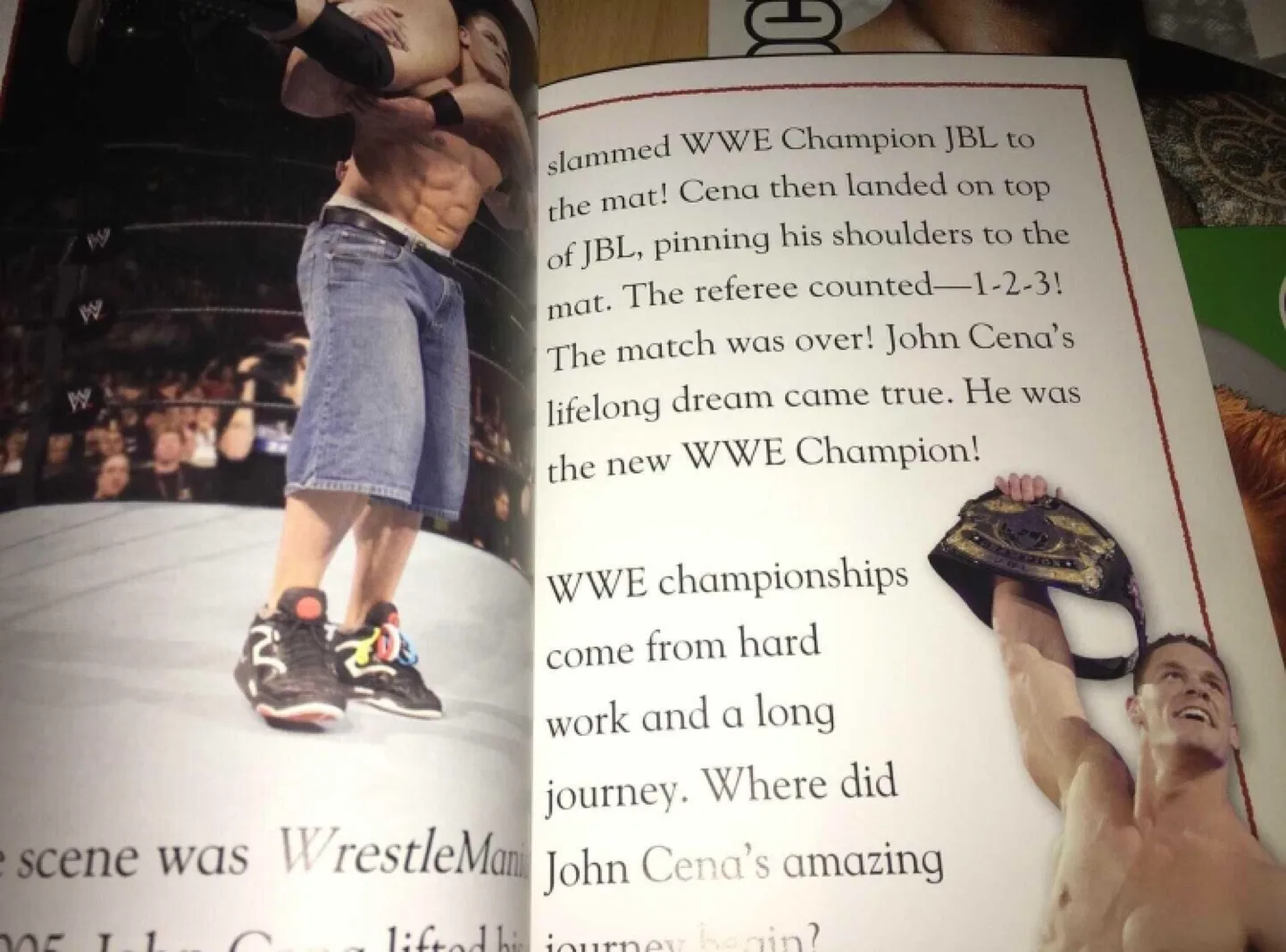 (All 8 for $15) WWE Books for Young Readers image indicator(3)