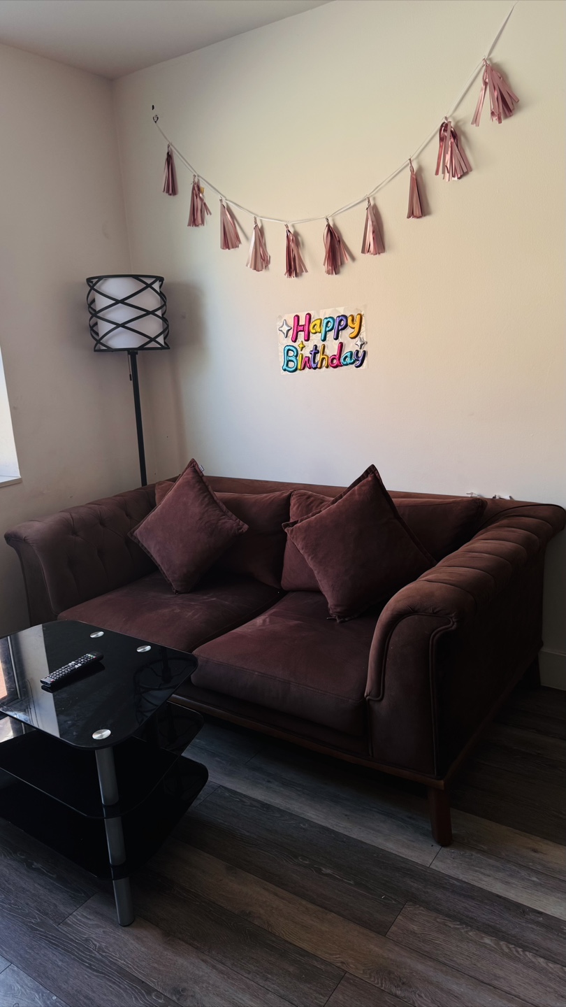 Luxury Brown velvet sofa and chair (Dogtas) - photo 5