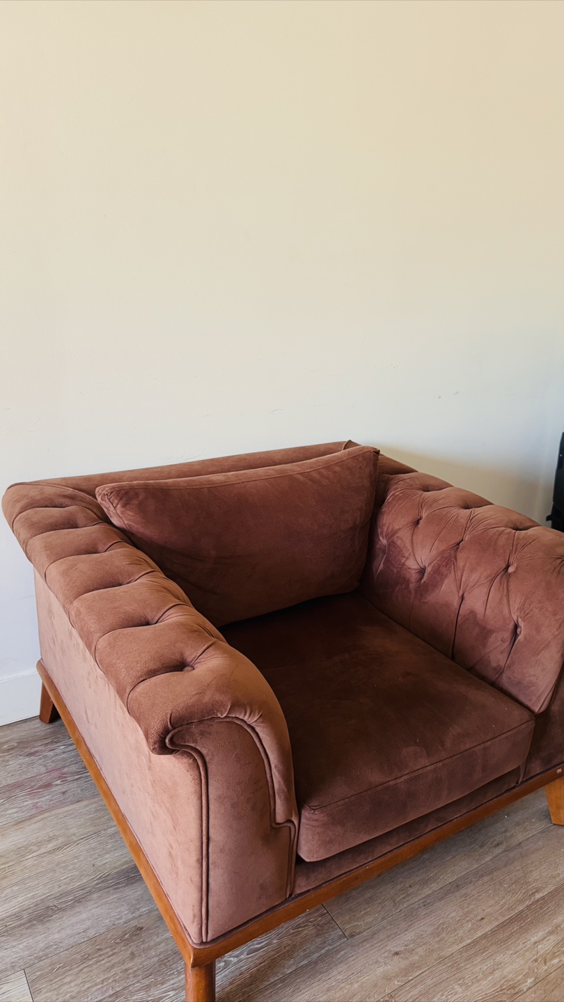 Luxury Brown velvet sofa and chair (Dogtas)