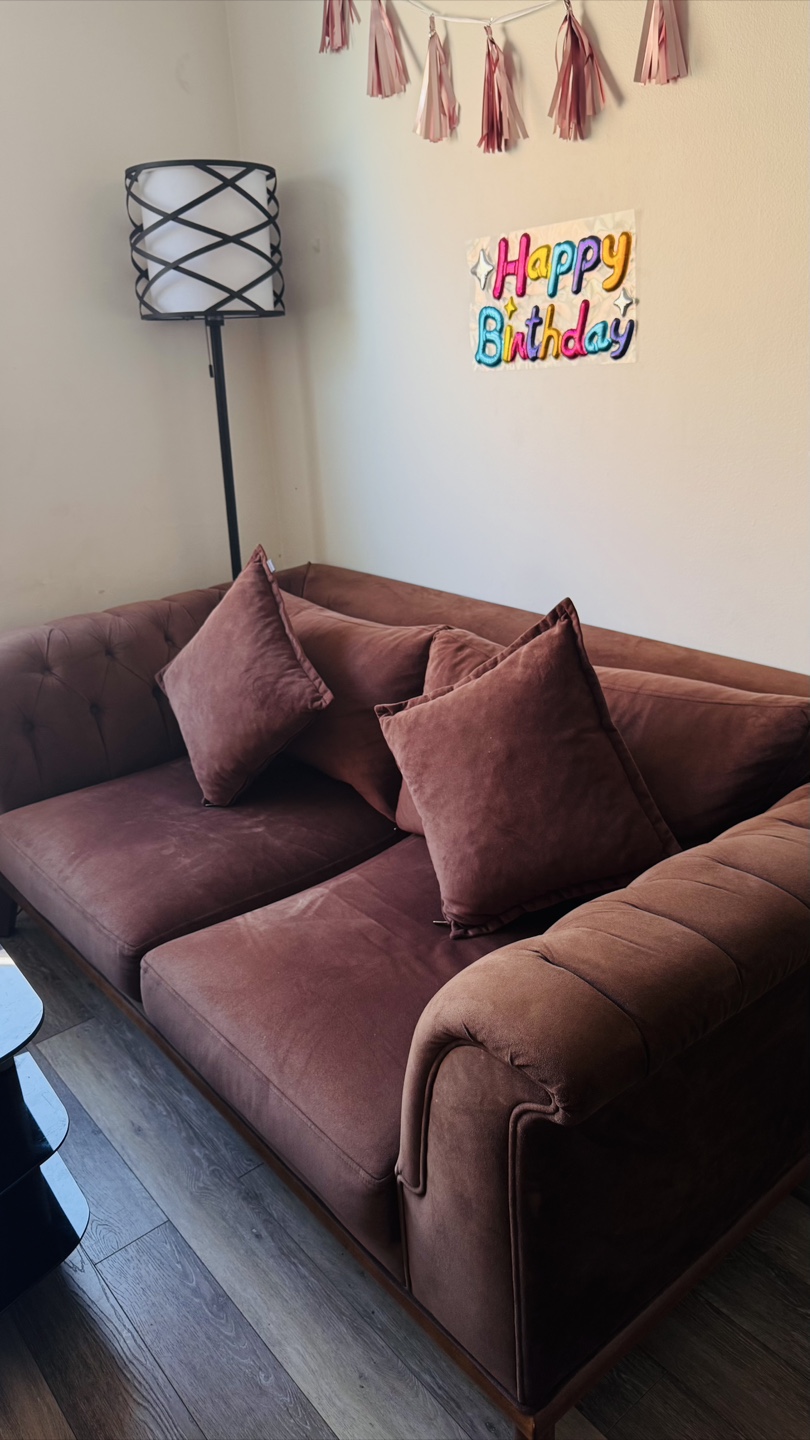 Luxury Brown velvet sofa and chair (Dogtas) - photo 3