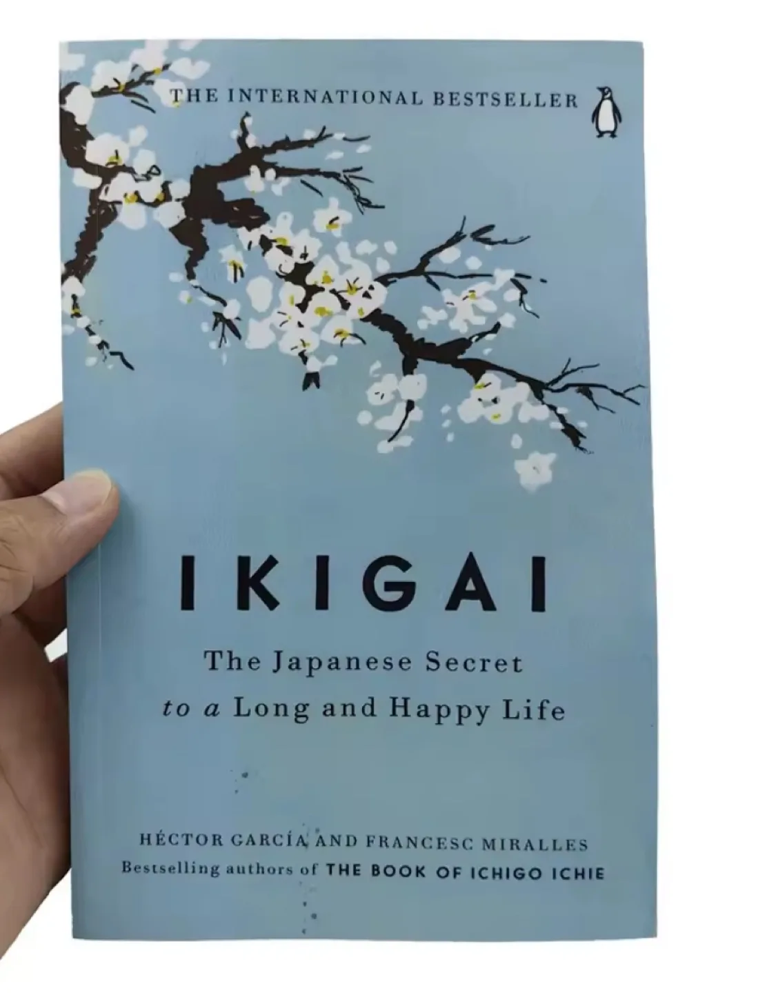 ikigai thumbnail