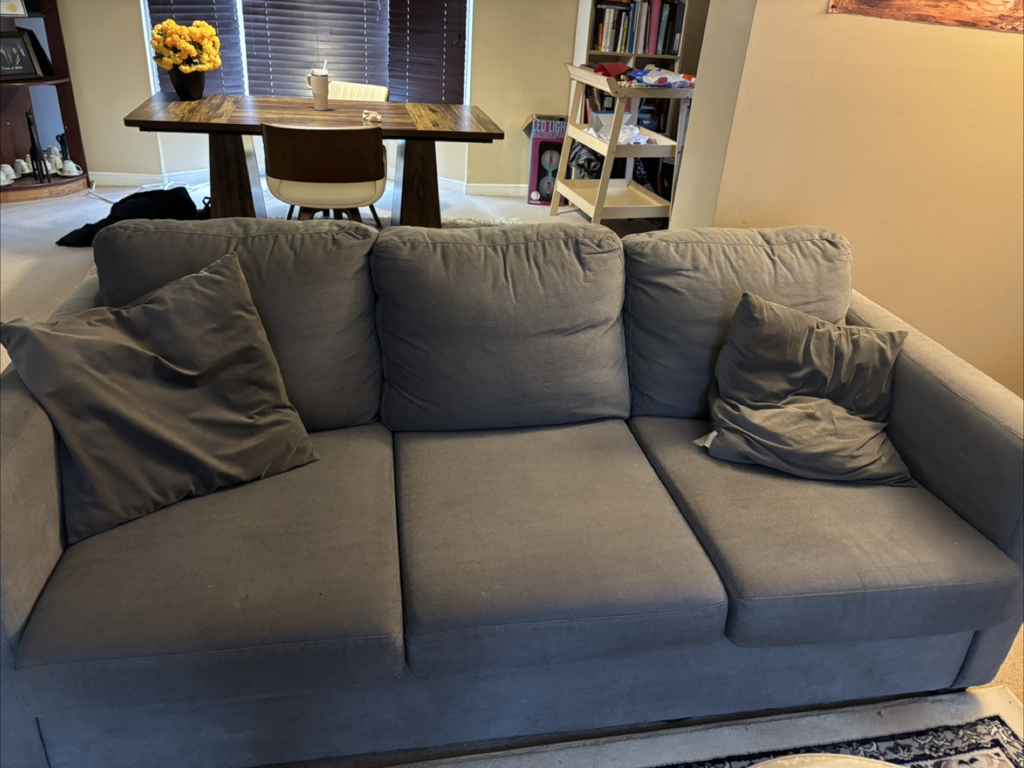 Grey Sofa with Pillows