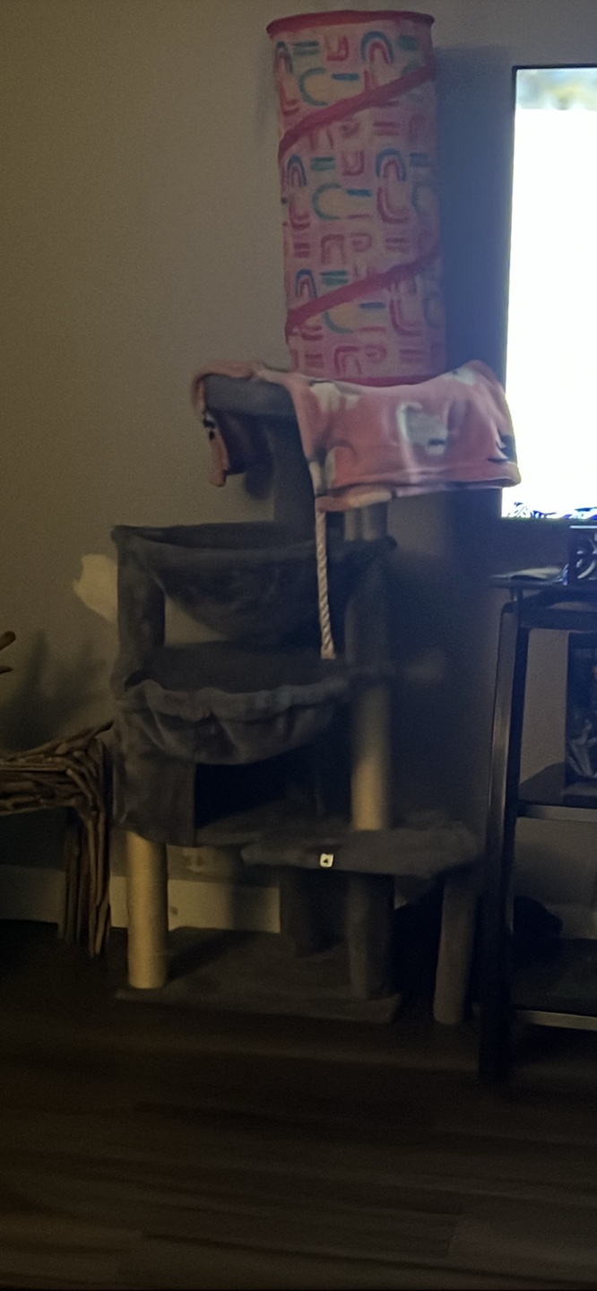 Cat Tree Tower