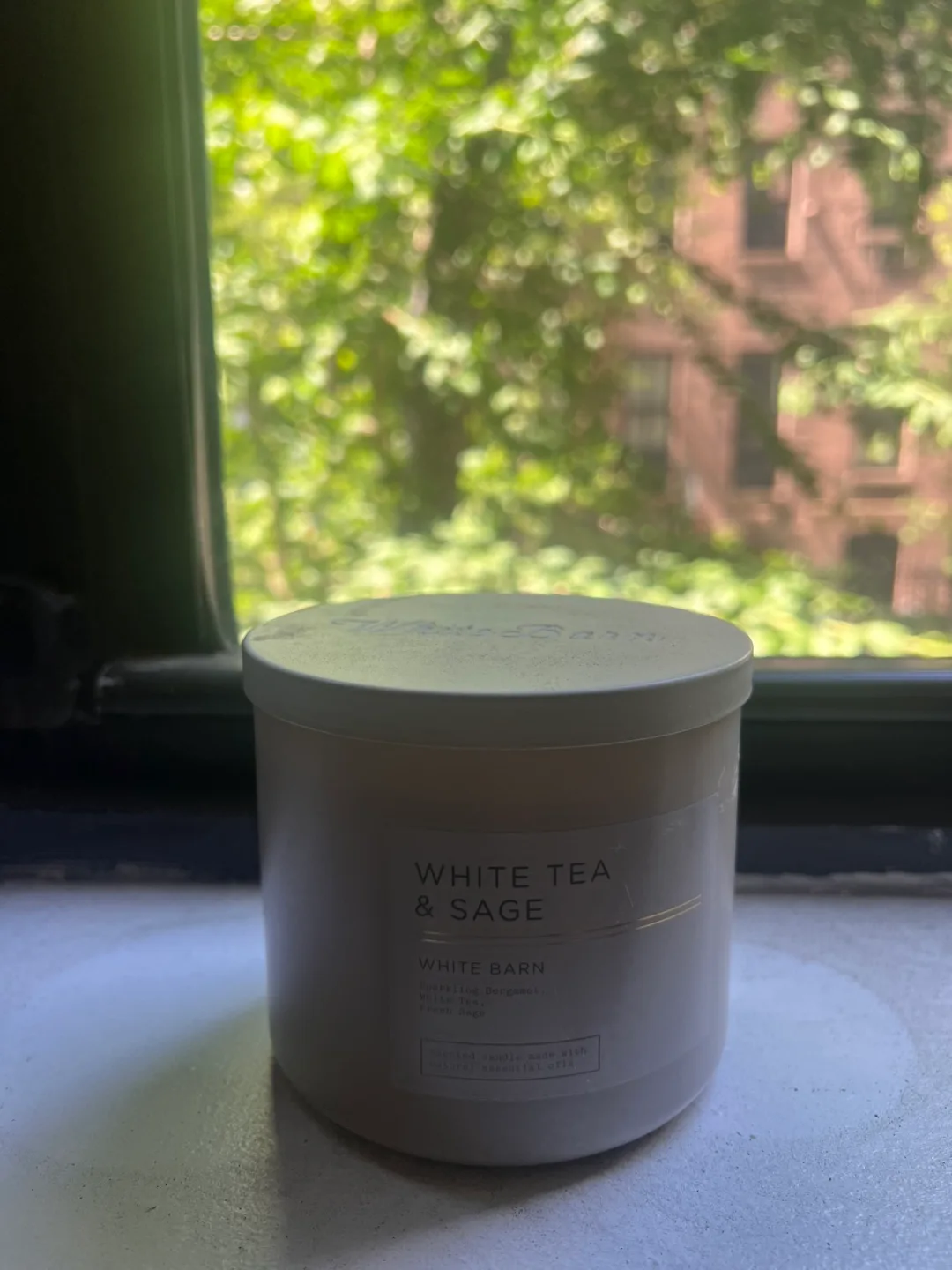 Bath & Bodyworks White Barn White Tea & Sage Candle thumbnail