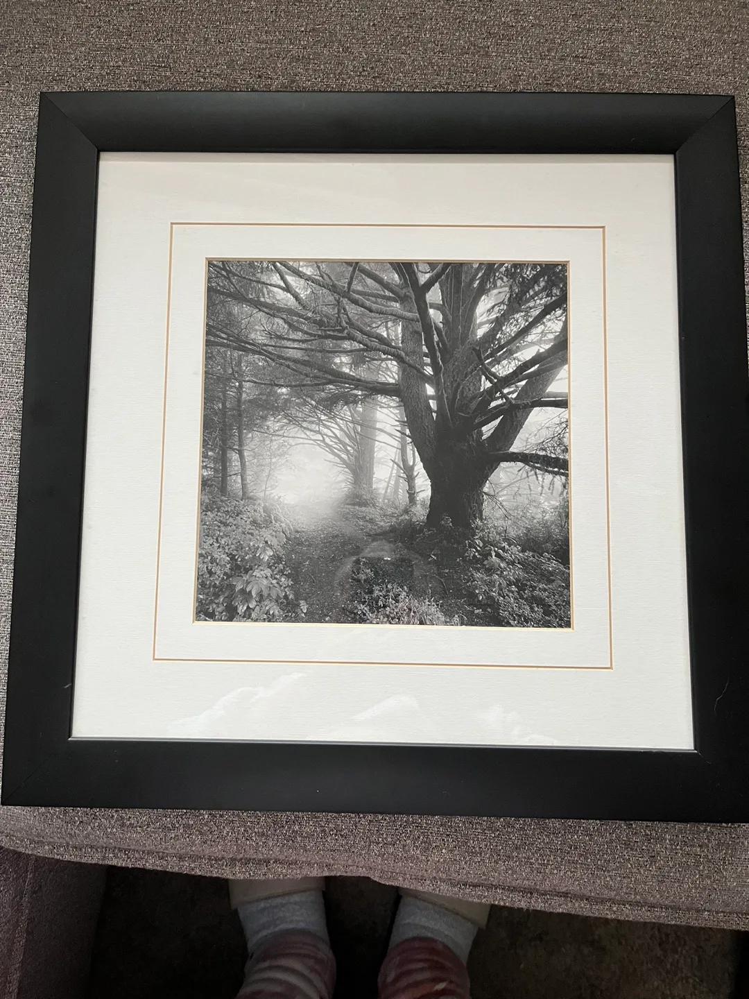 Ansel Adam’s Black and White Framed Art Print