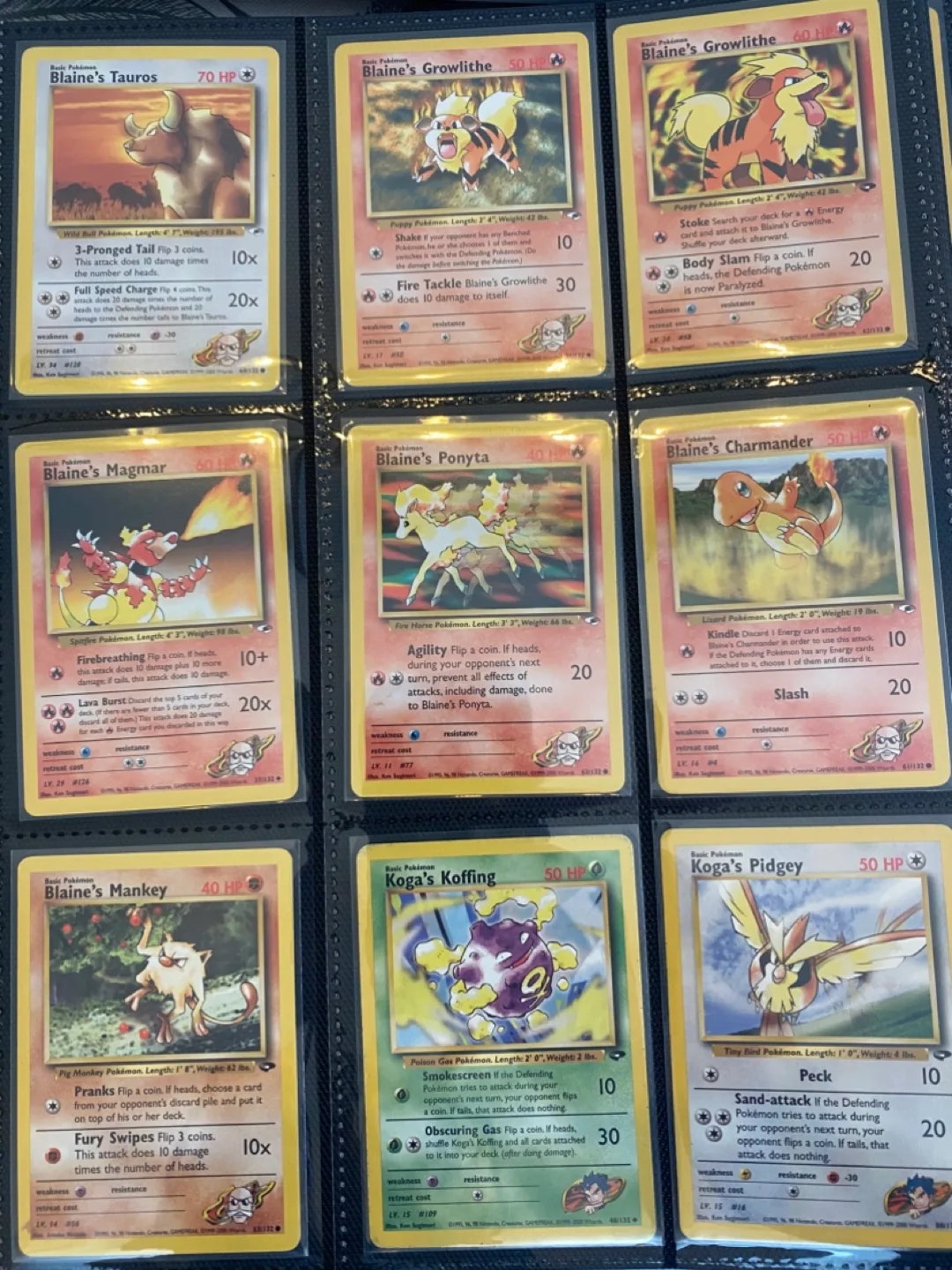 Pokemon Cards Collection image indicator(5)