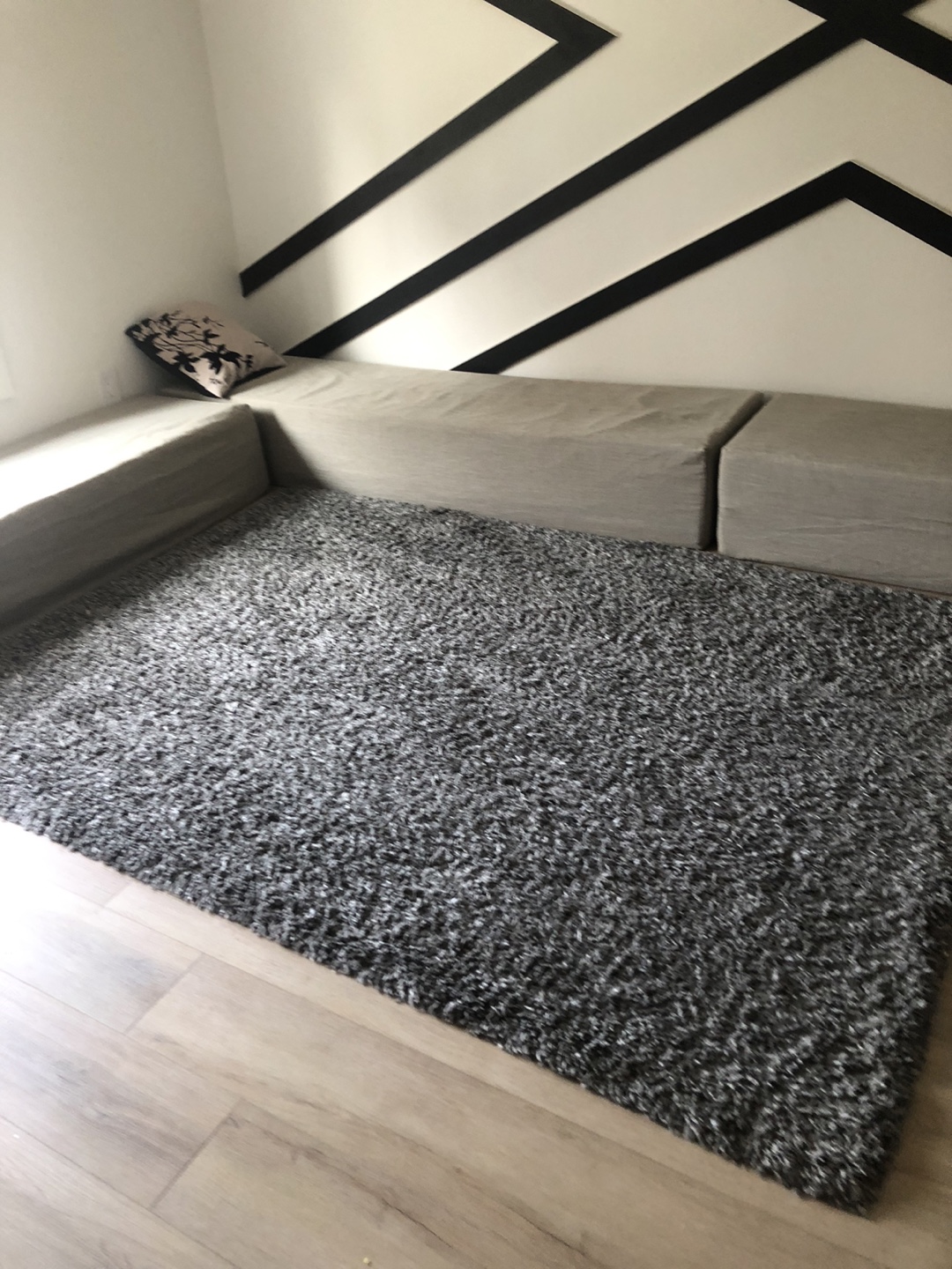 Grey Shag Rug with Couch and carpet - photo 3