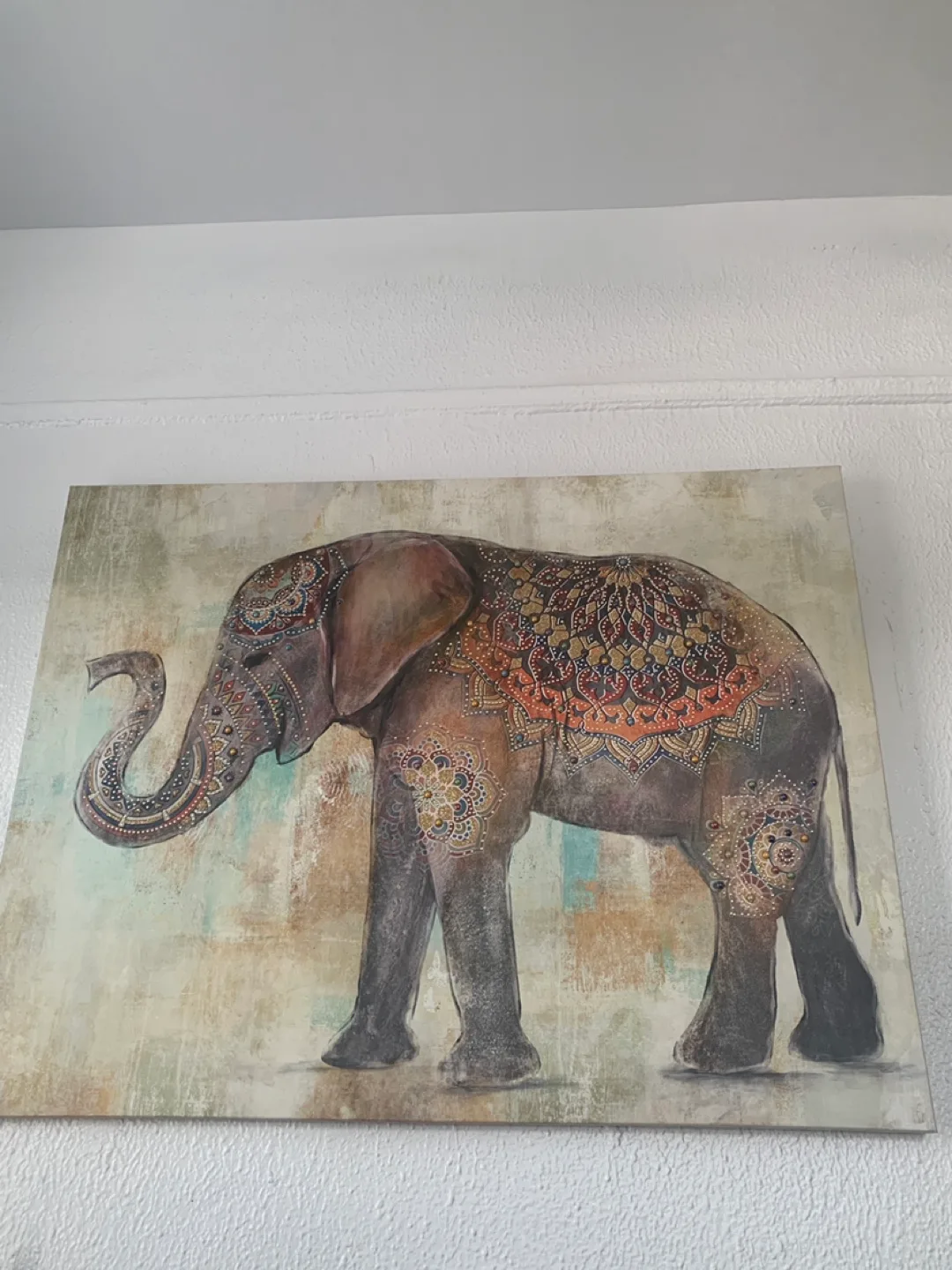 Elephant Canvas Wall Art thumbnail