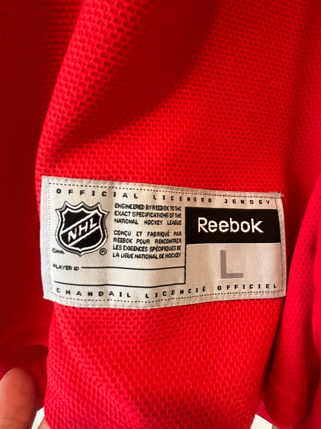 Luongo Florida Panthers NHL Jersey - Size Large image indicator(4)