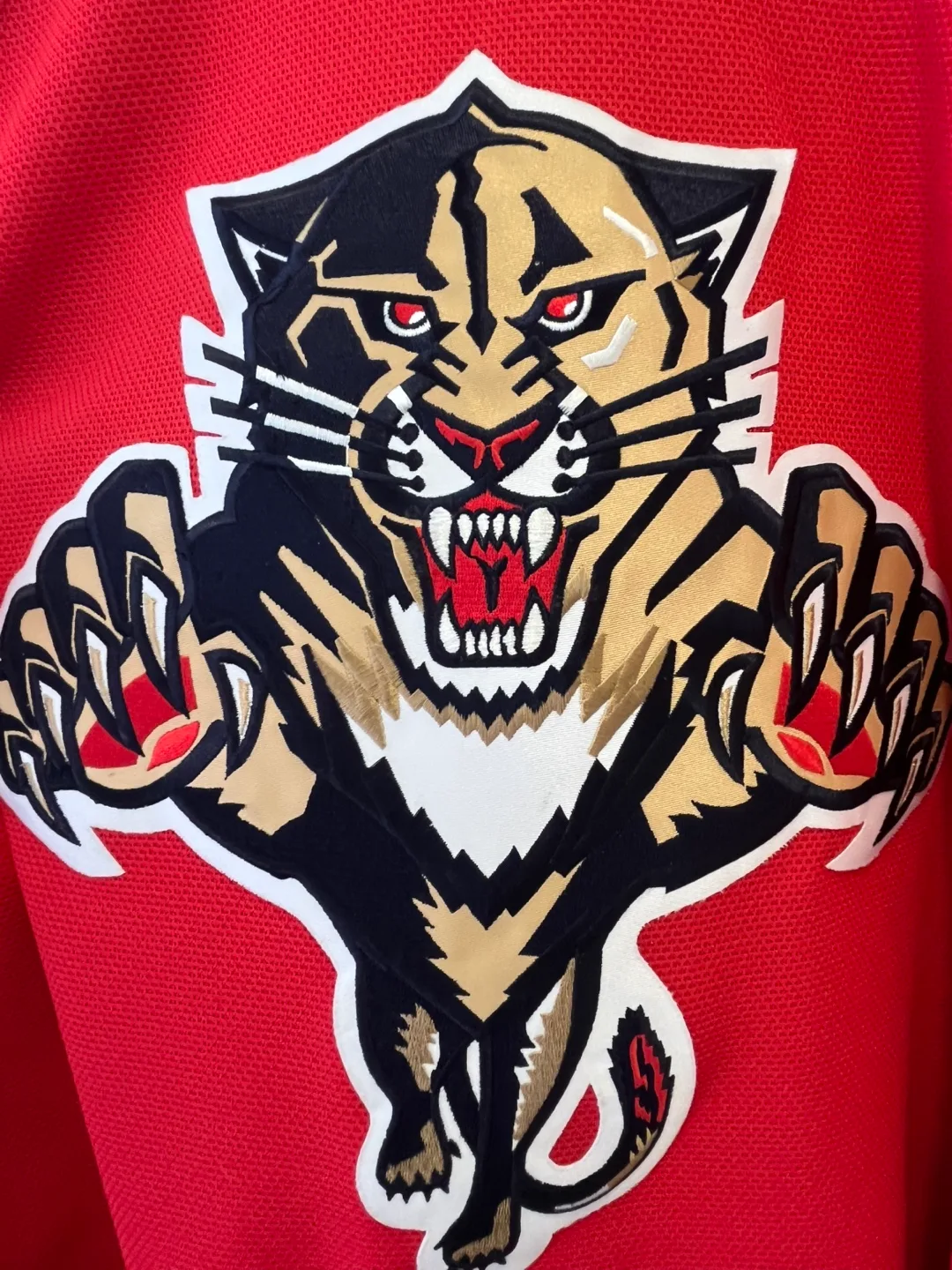Luongo Florida Panthers NHL Jersey - Size Large image indicator(3)
