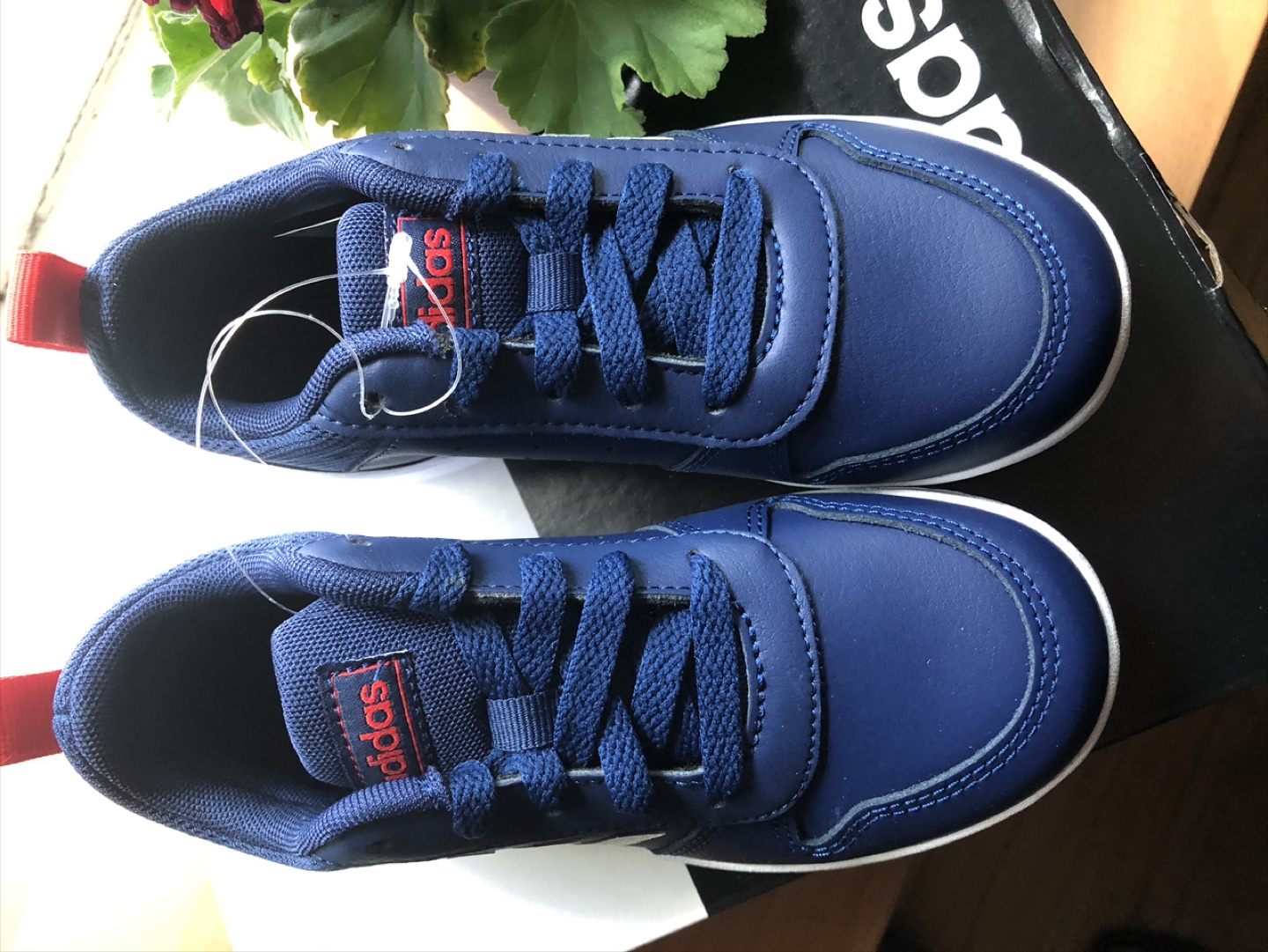 Adidas Sneakers