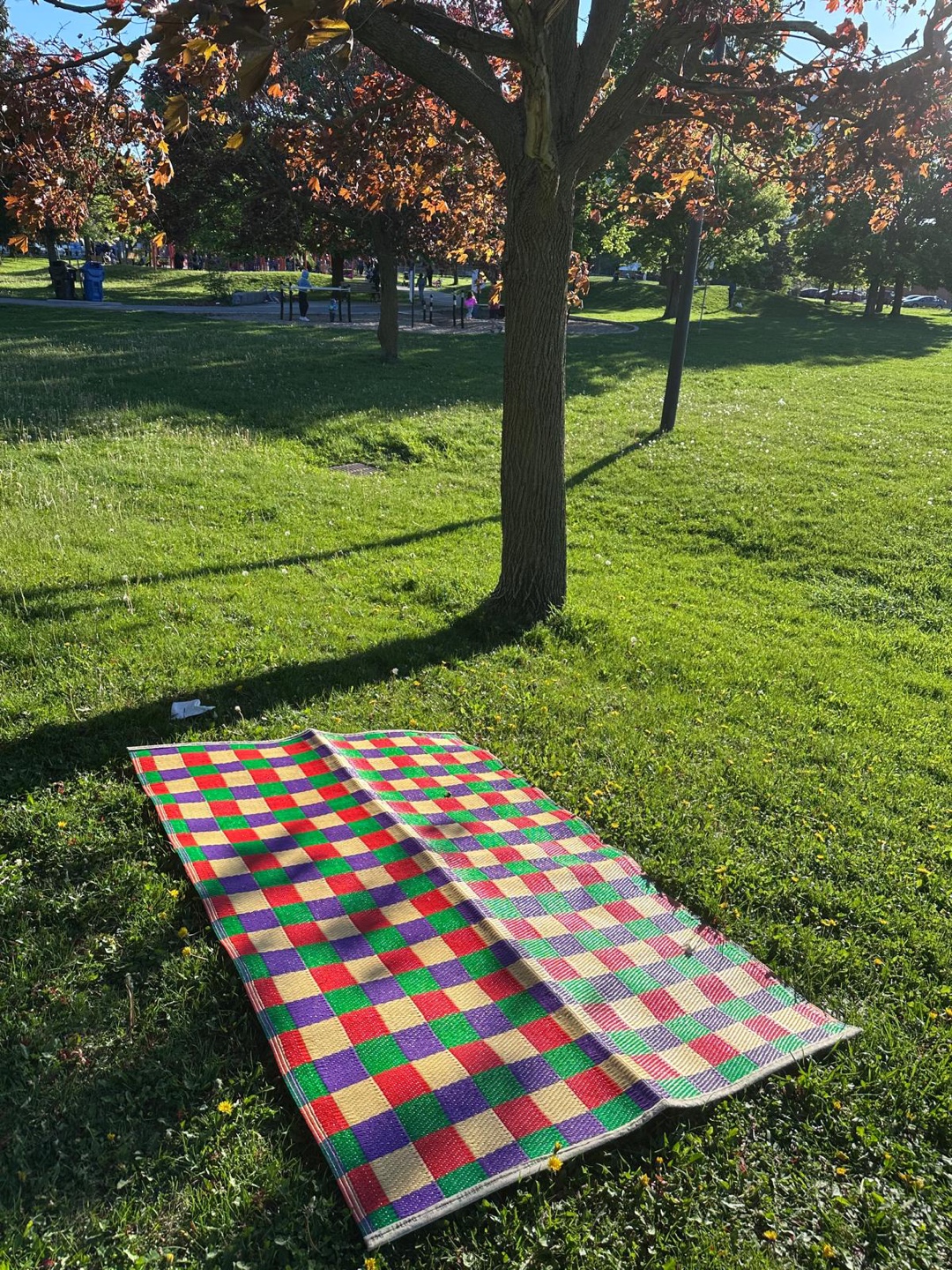 Colourful Picnic Mat / Outdoor Rug