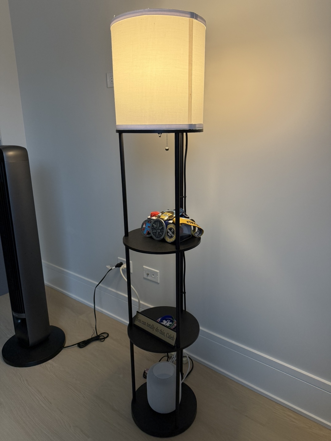 Floor Lamp with Shelves