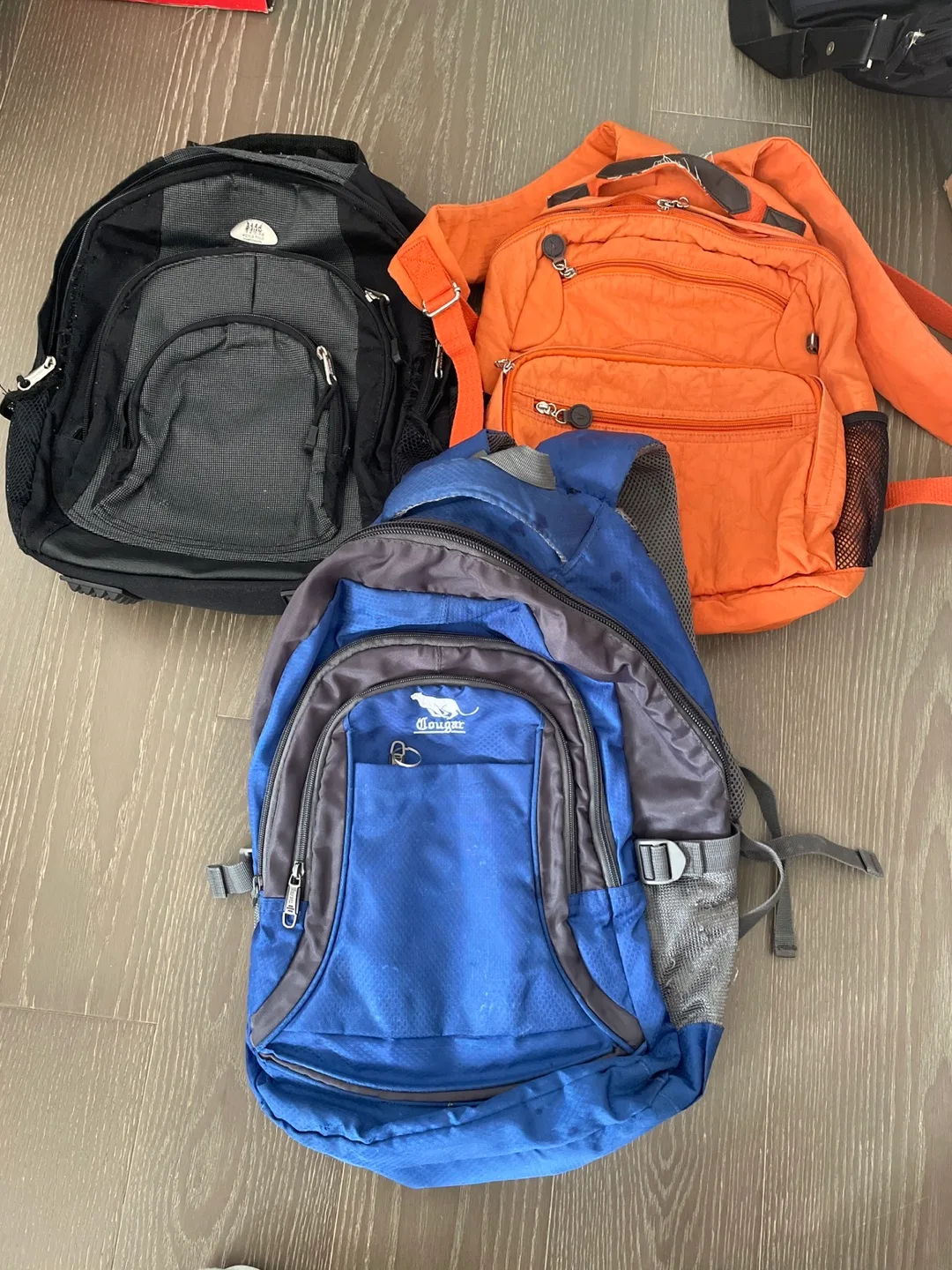 Assorted Backpacks thumbnail