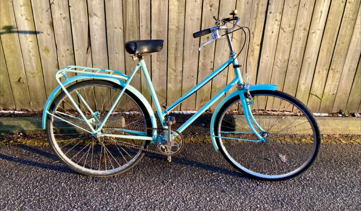 Vintage Dutch Bicycle image indicator(6)