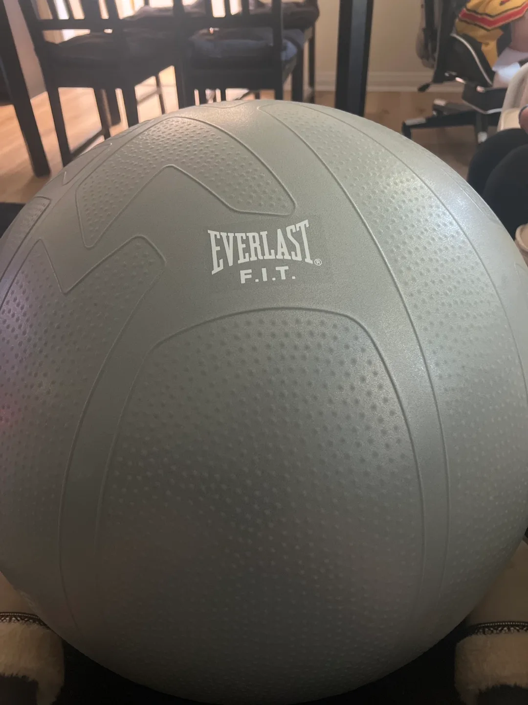 Everlast F.I.T. Exercise Ball thumbnail