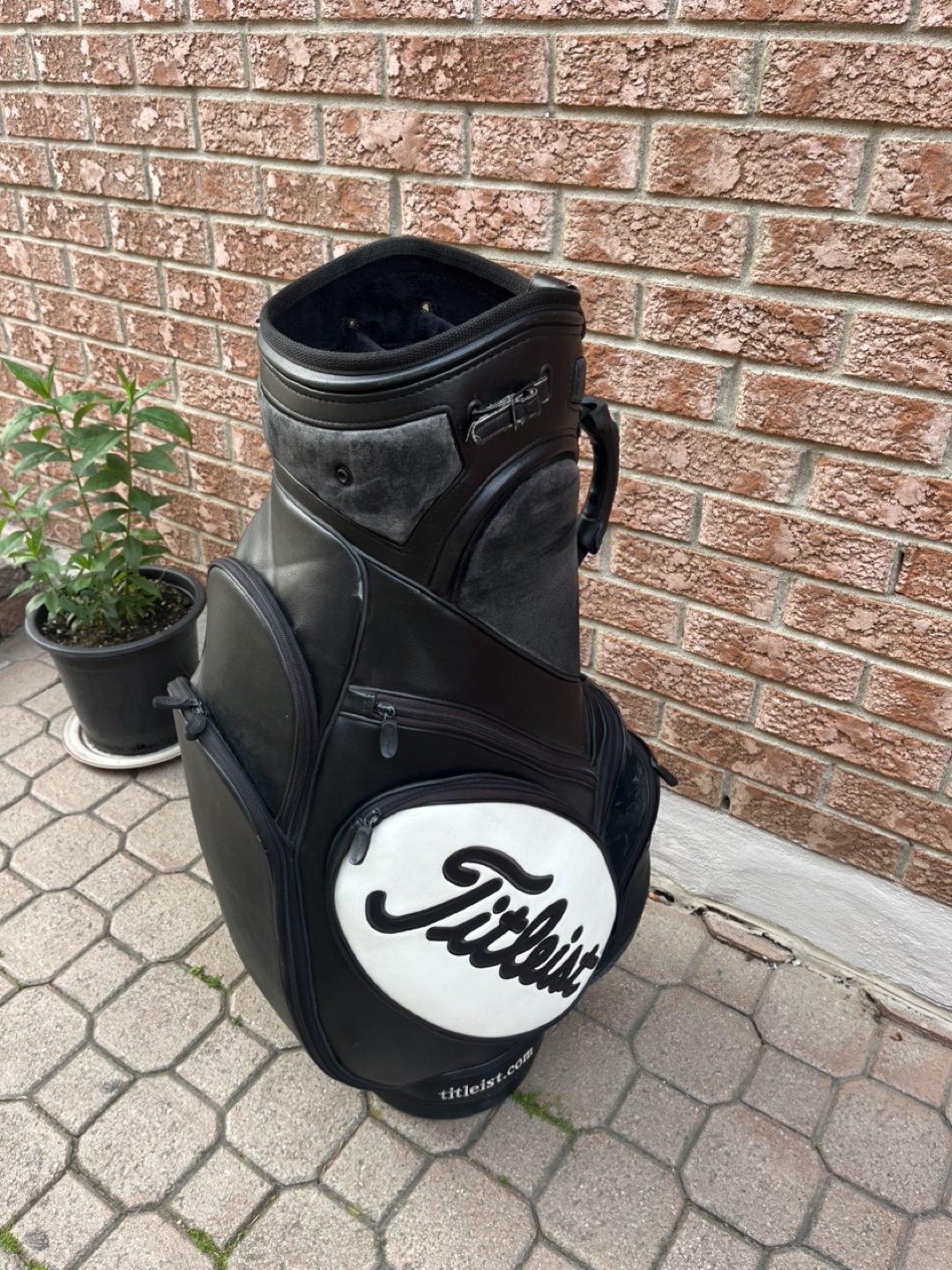 Titleist Golf Bag - photo 3