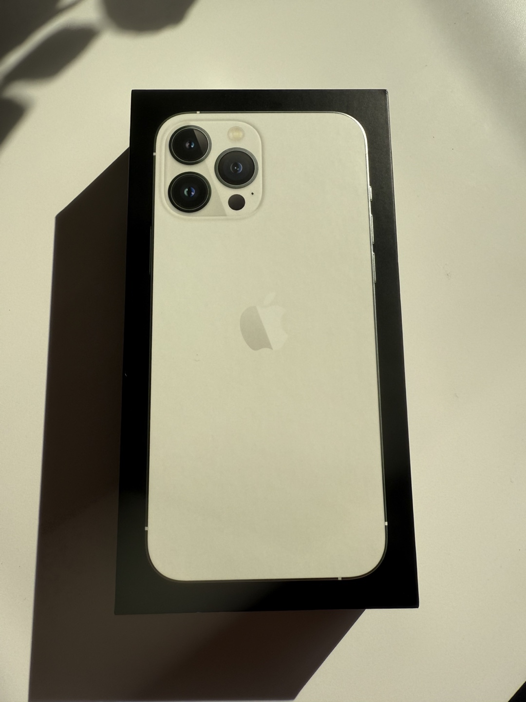 Apple iPhone 13 Pro Max